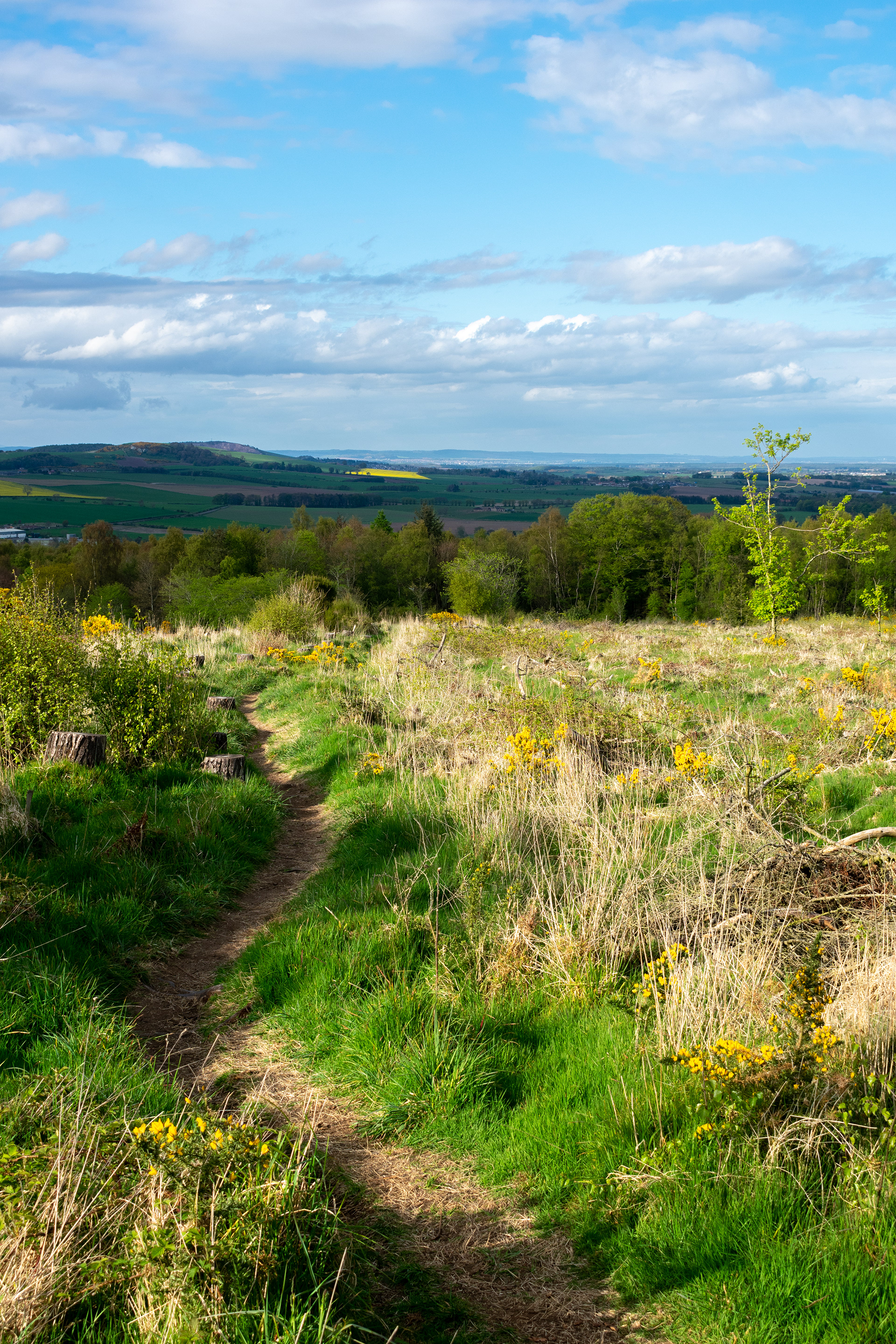 May: Views on my daily exercise