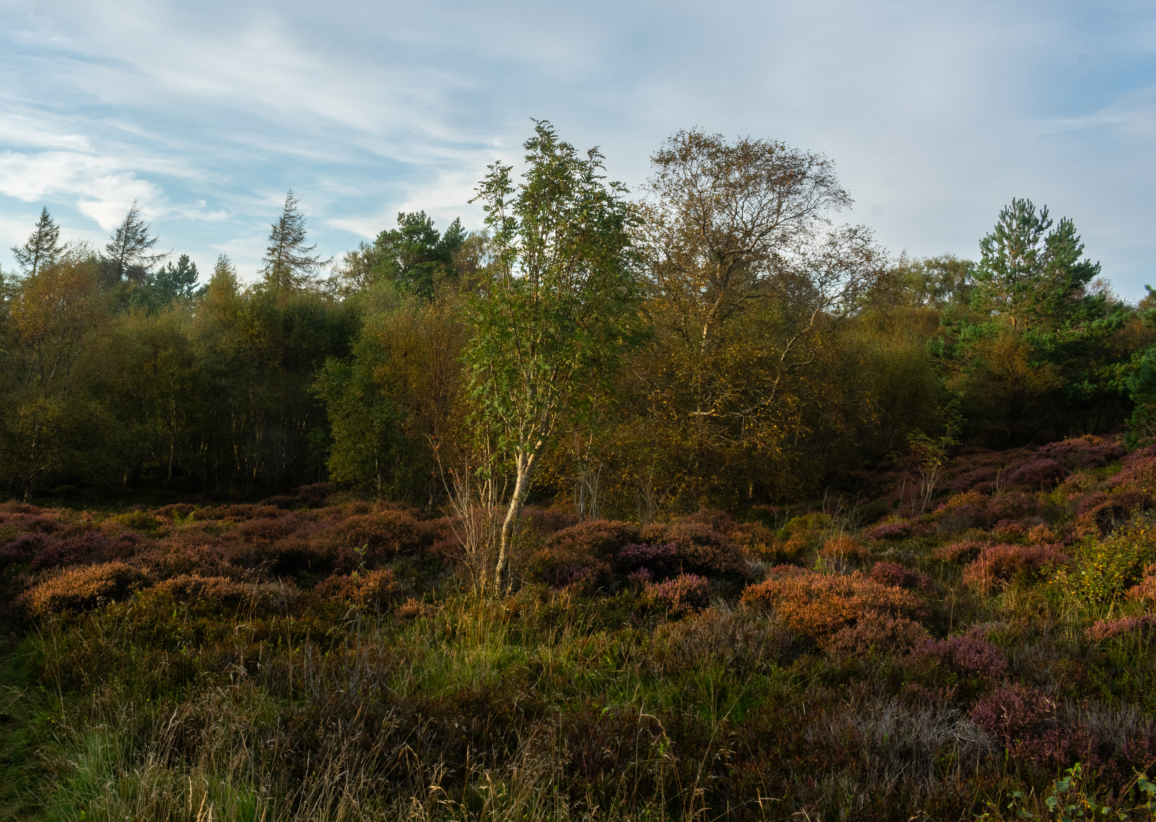 September: Lucklawhill