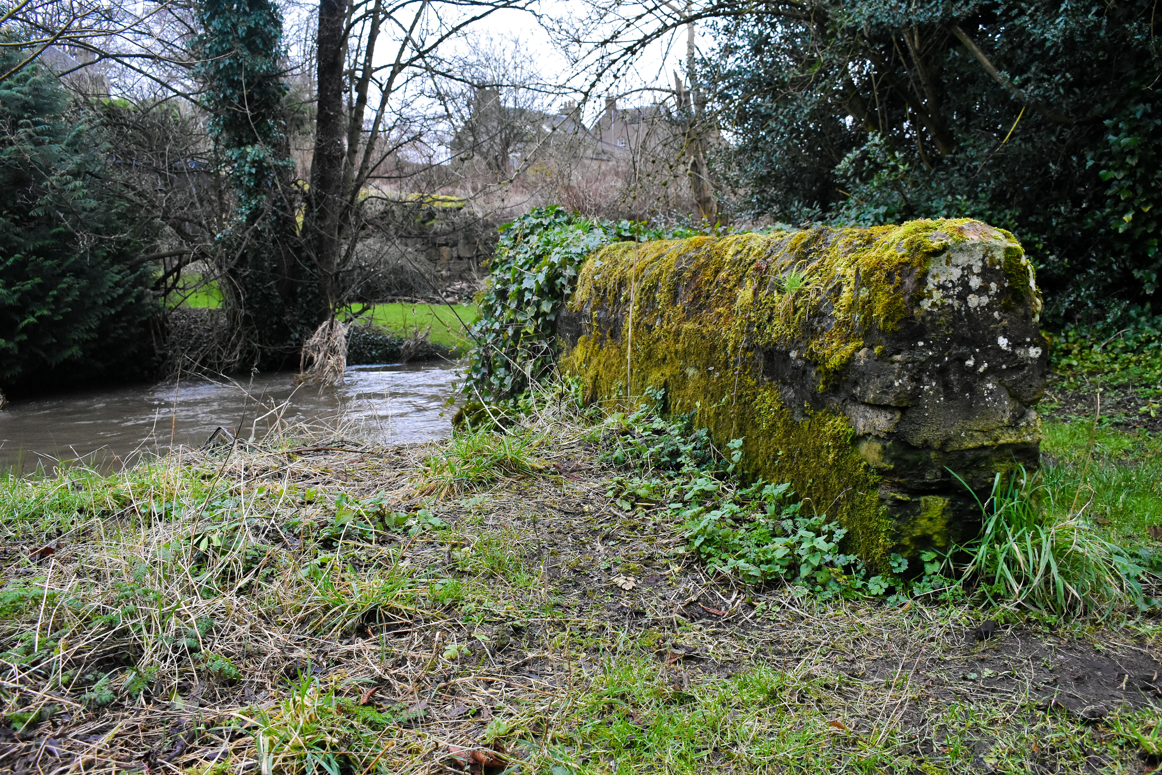 February: Discovering Cupar