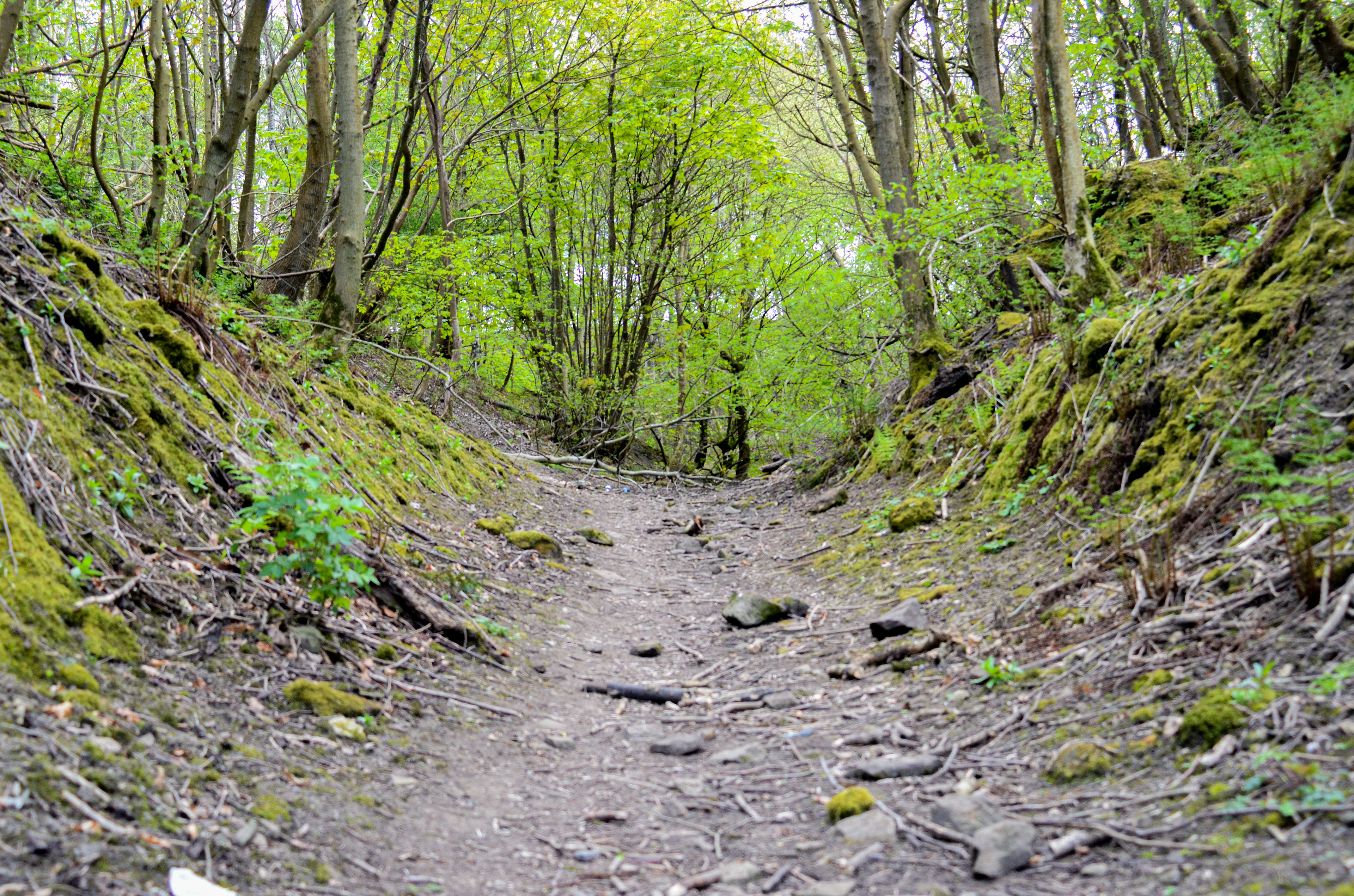 May: Views on my daily exercise