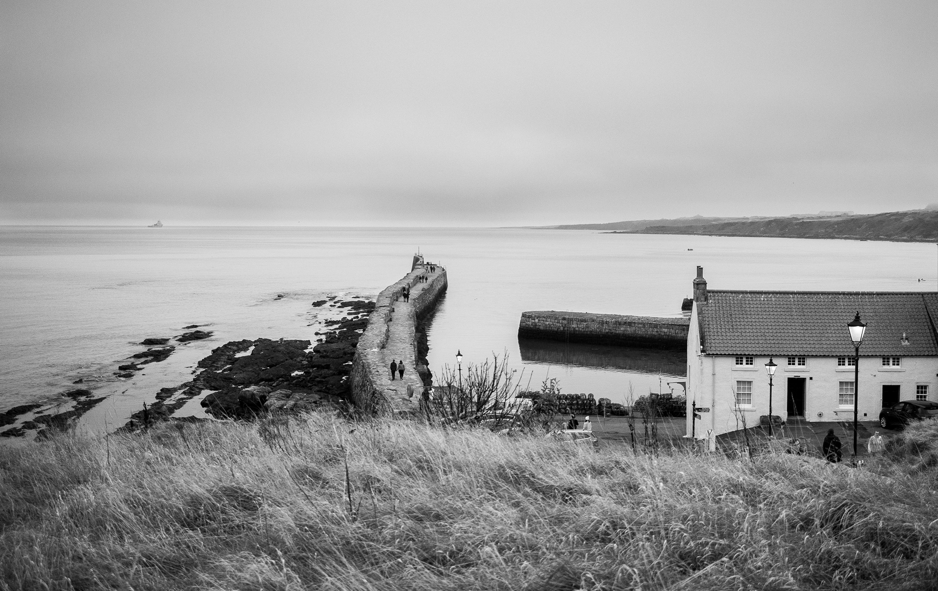 November: St Andrews Harbour