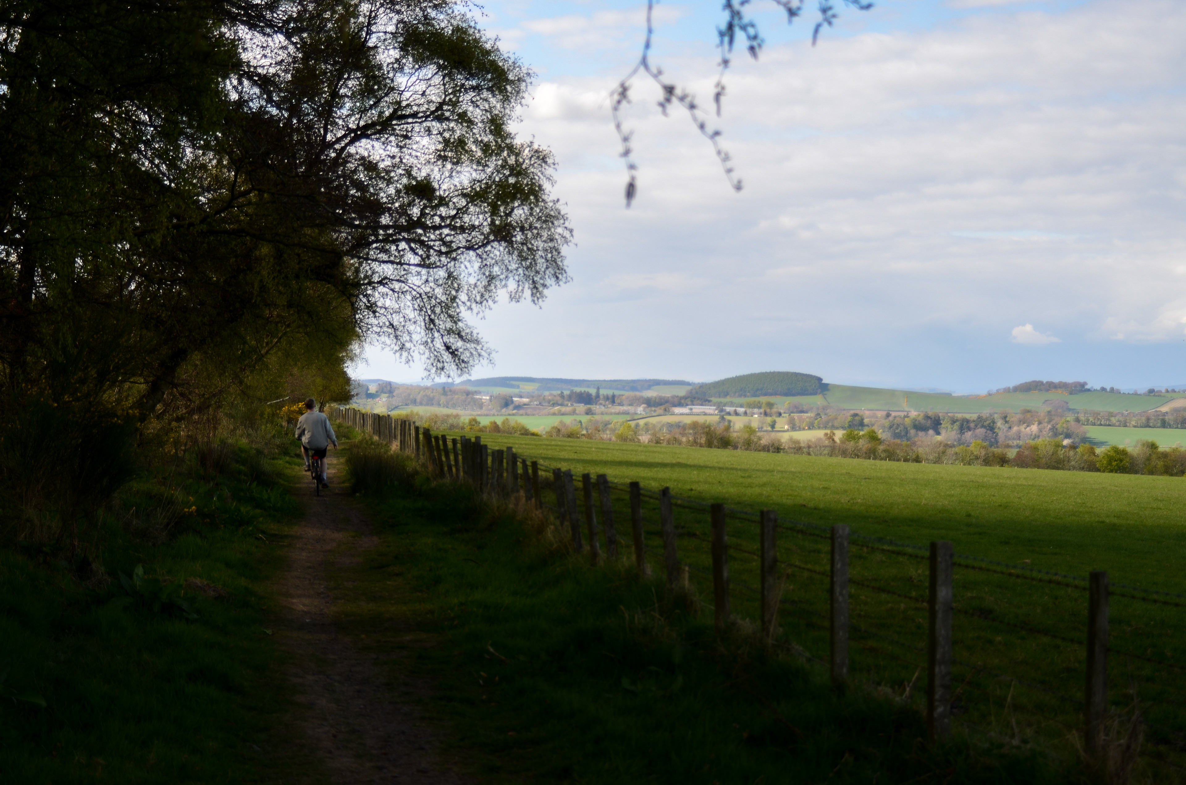 May: Views on my daily exercise
