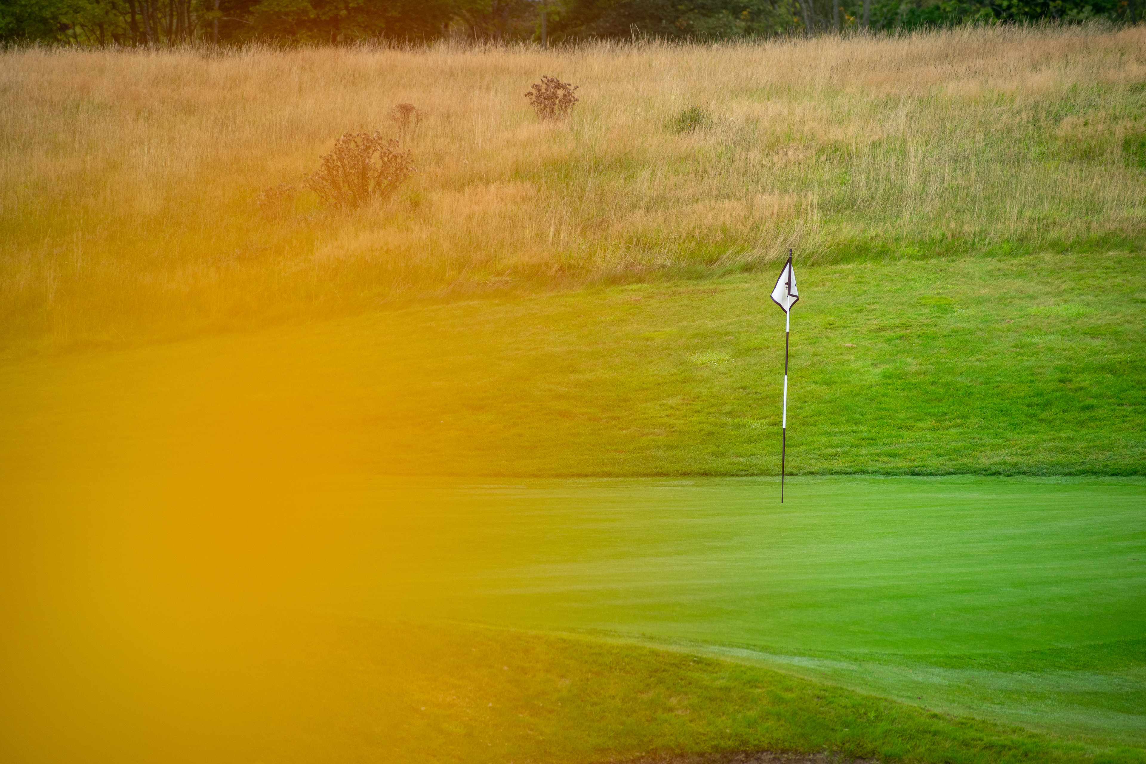 September: Gleneagles
