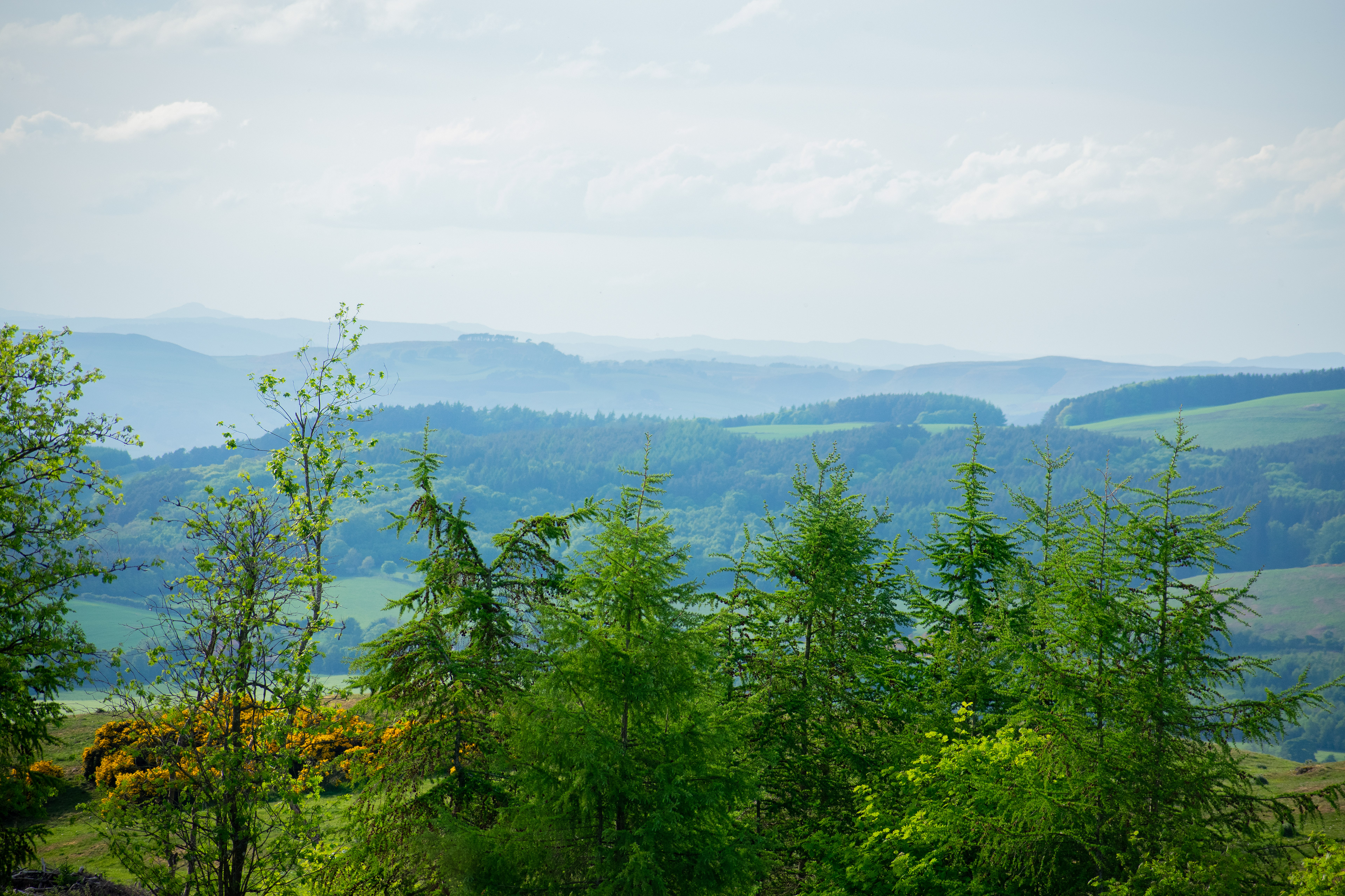 May: Views on my daily exercise