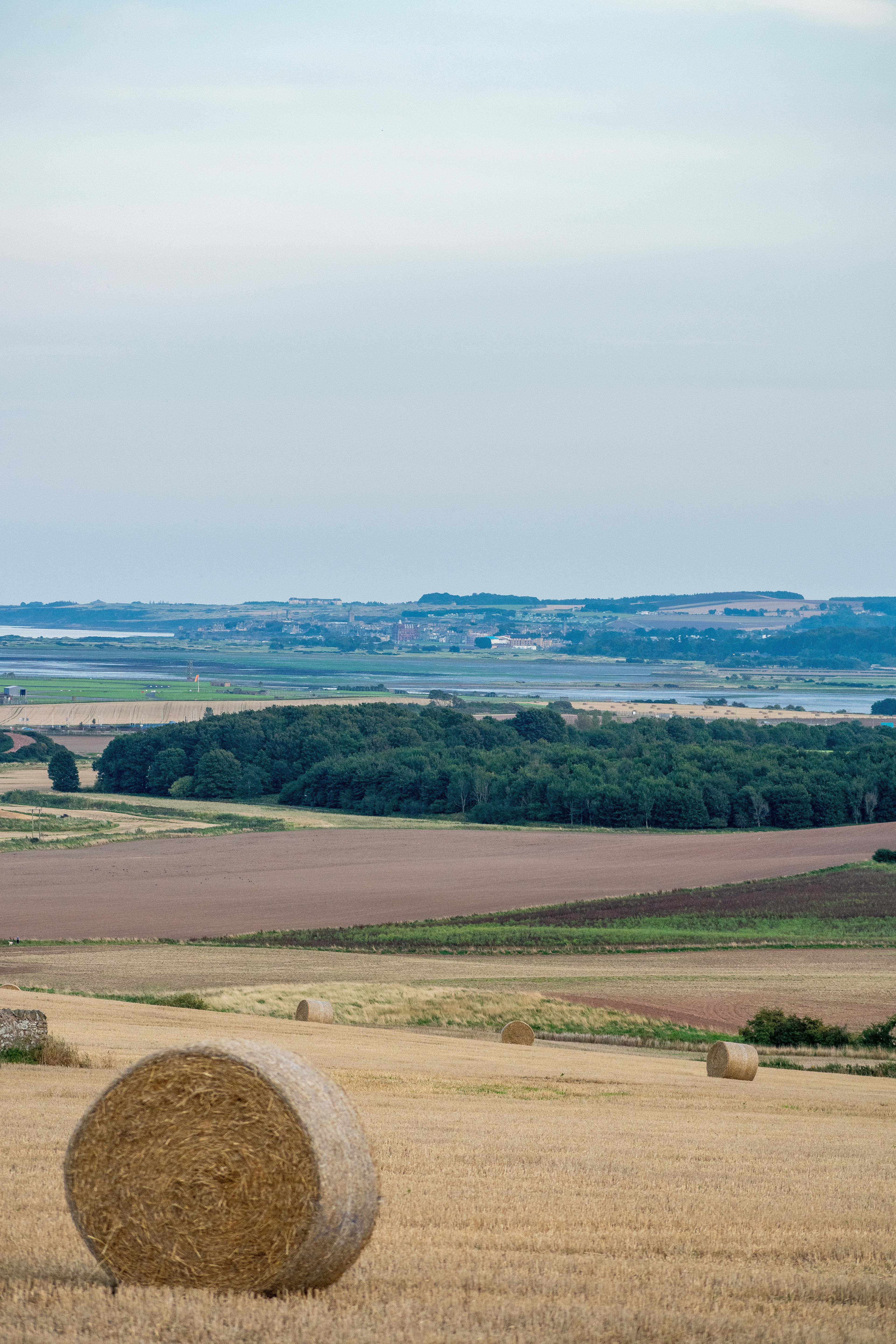 September: Fields of Fife