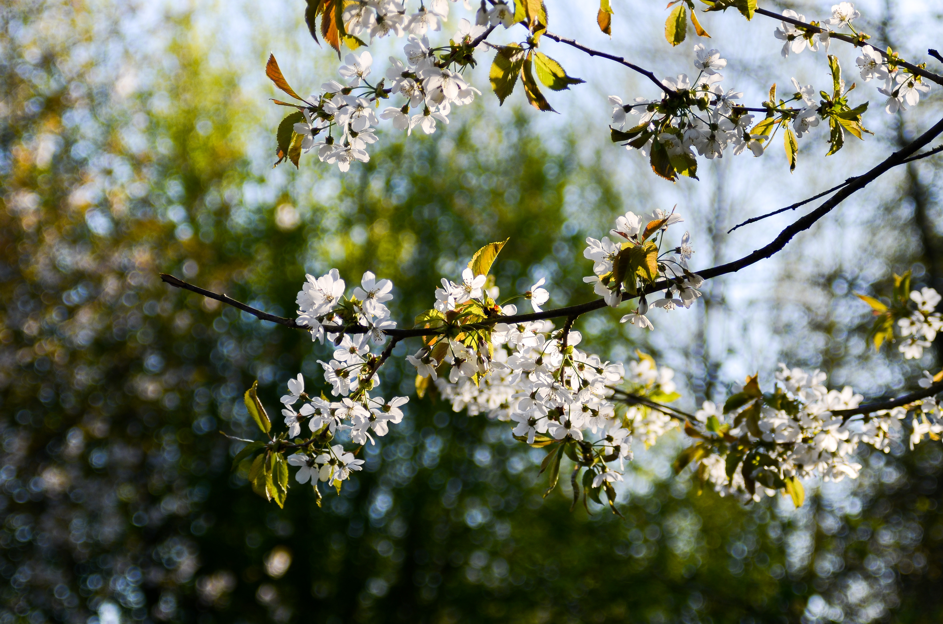 April: Views on my daily exercise