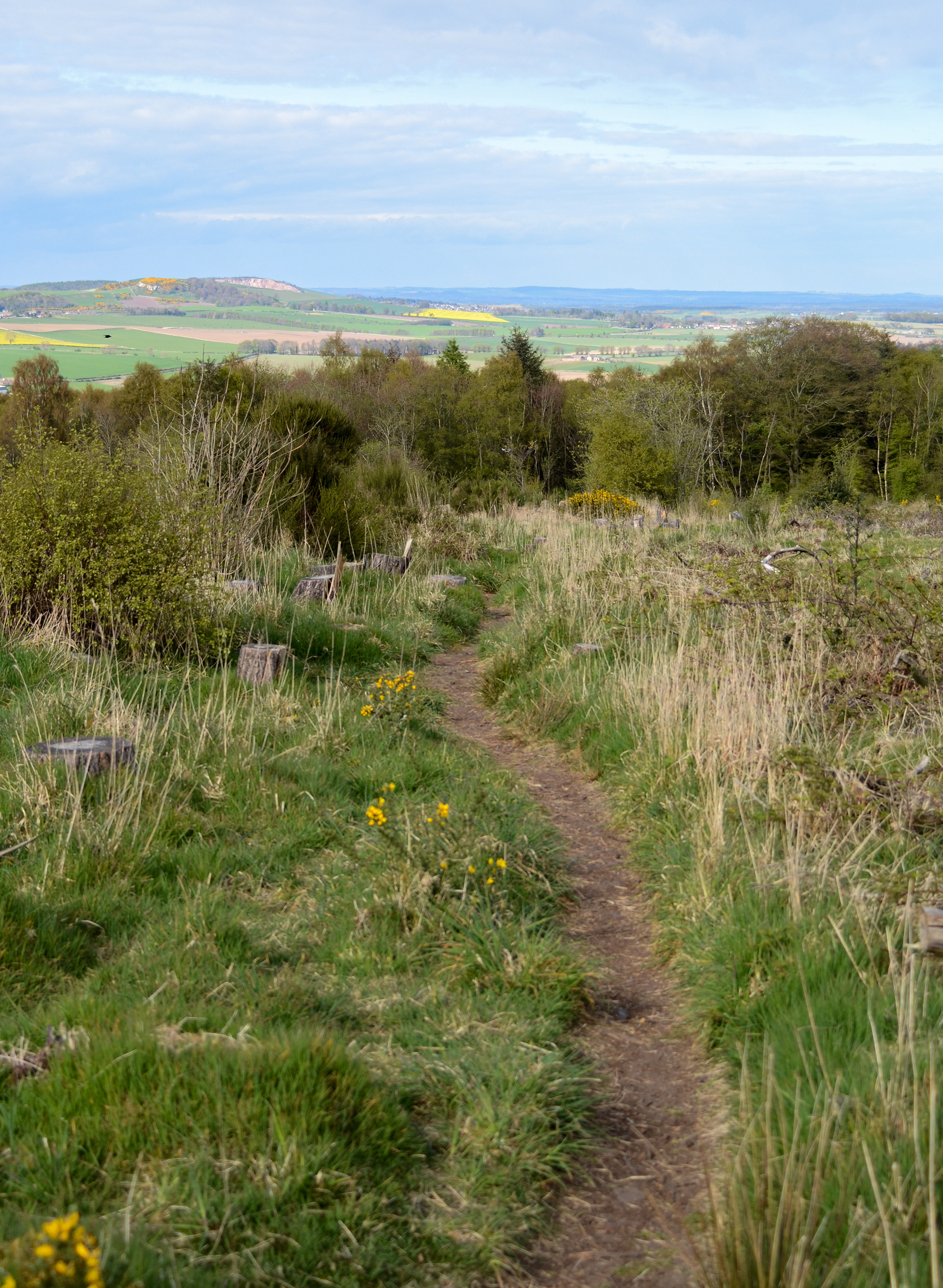 May: Views on my daily exercise