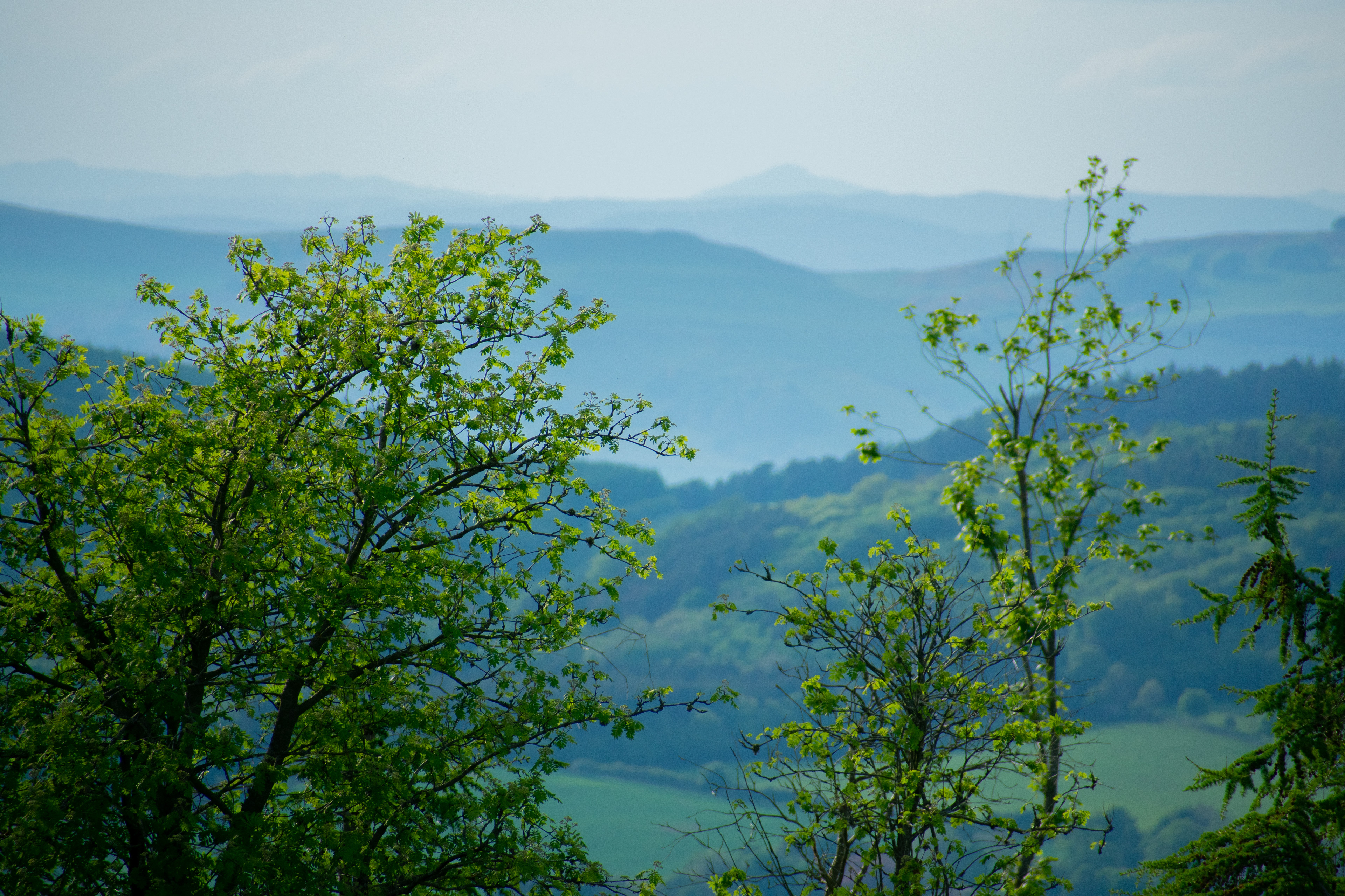 May: Views on my daily exercise