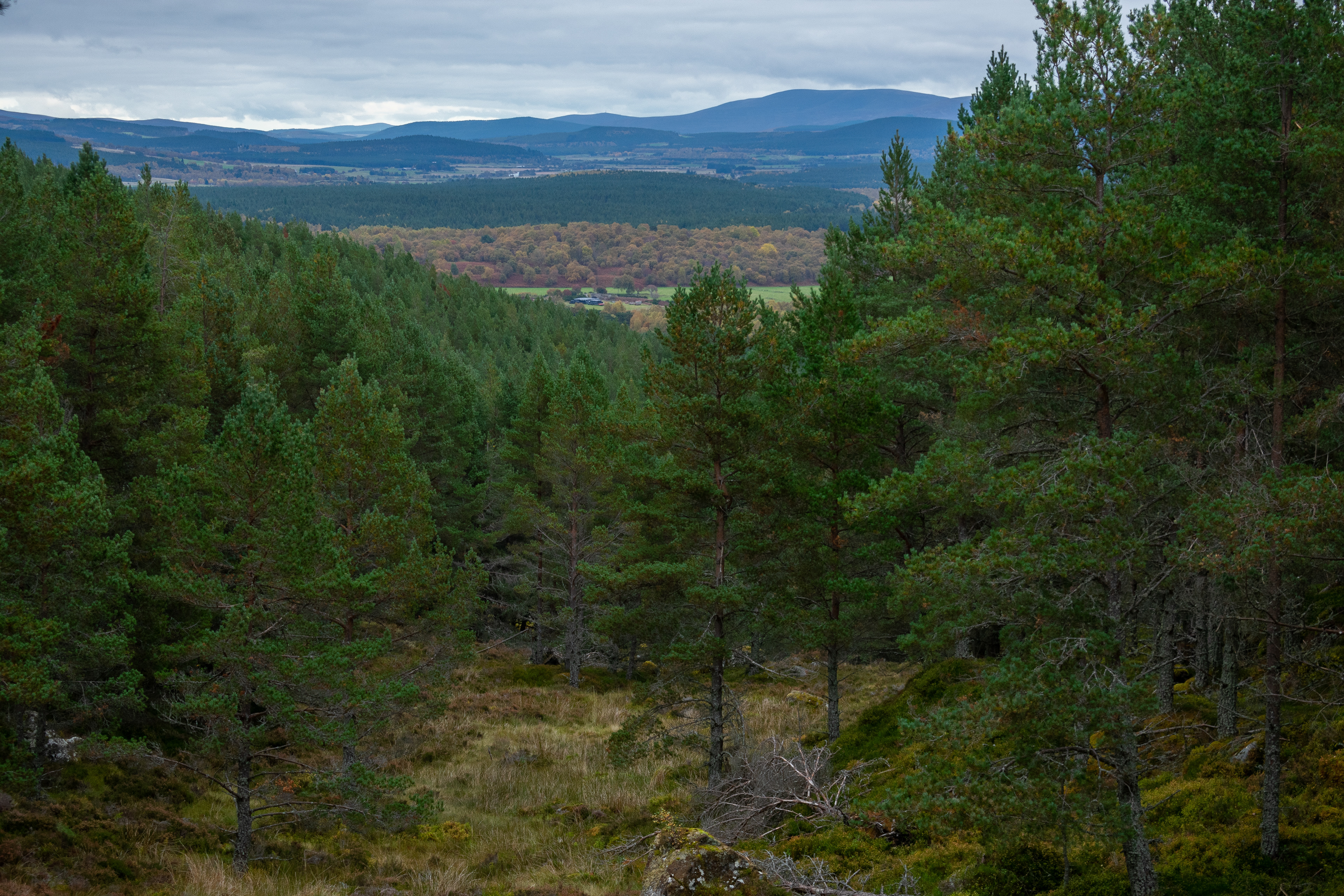 October: Aviemore