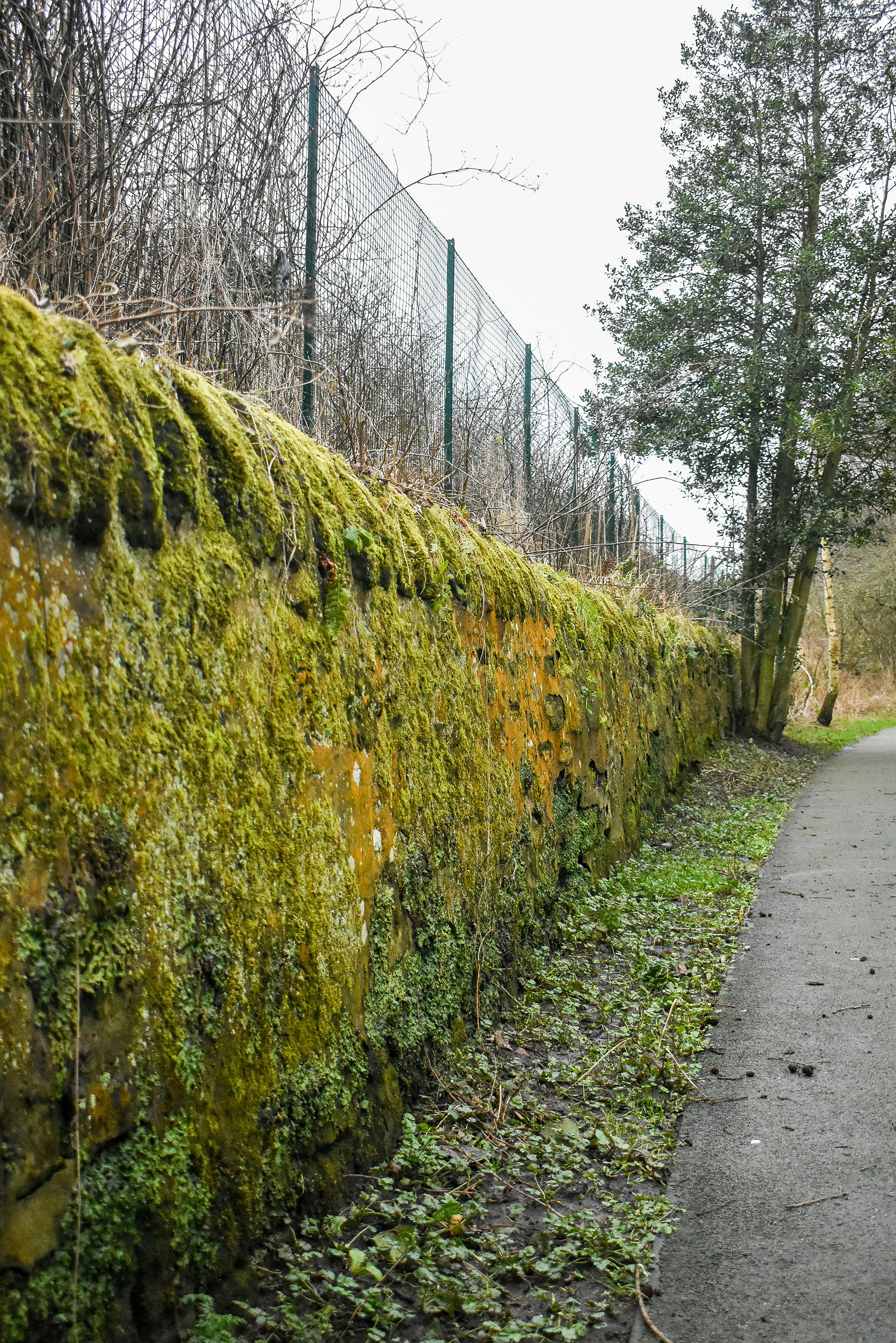 February: Discovering Cupar