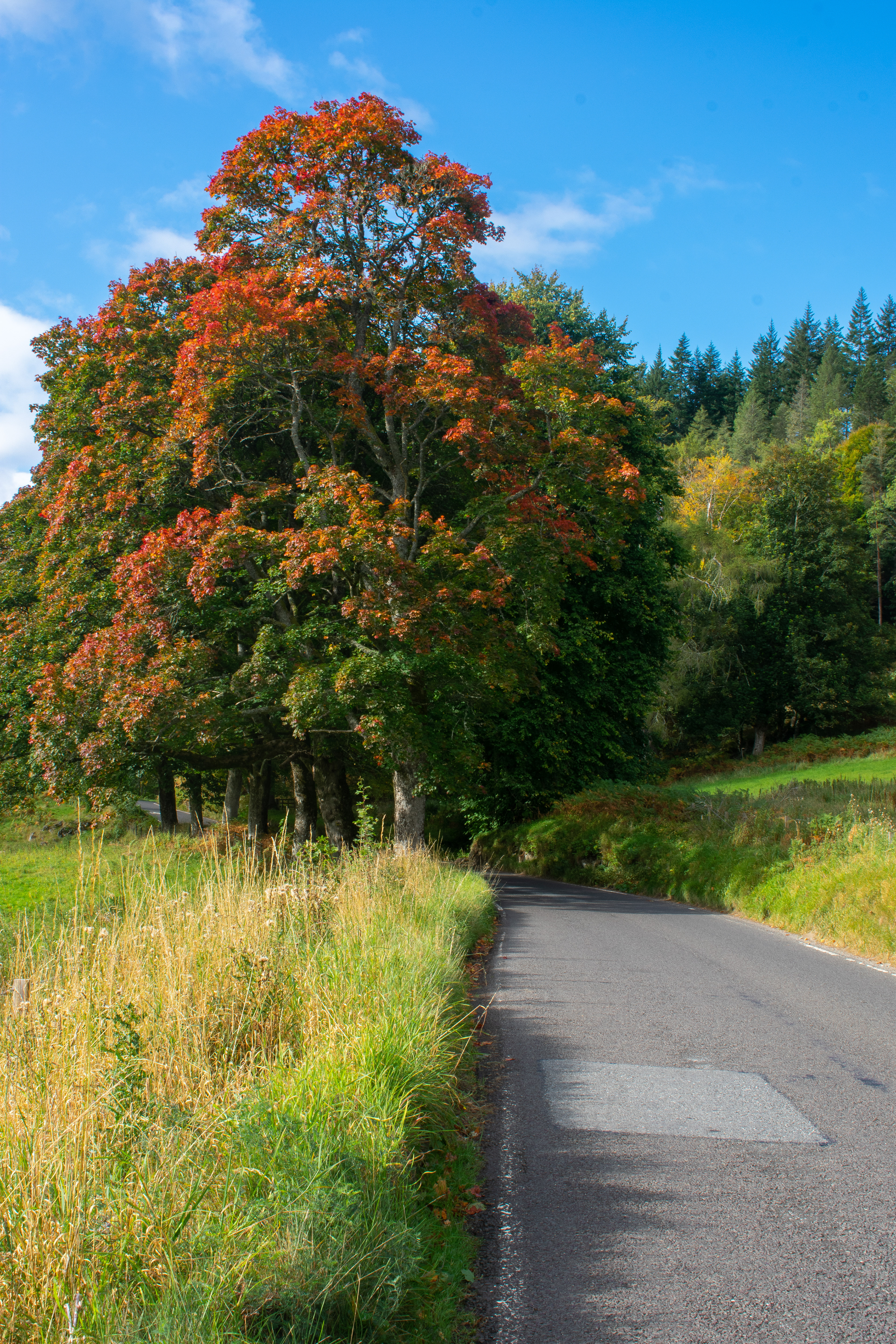 September: Pitlochry