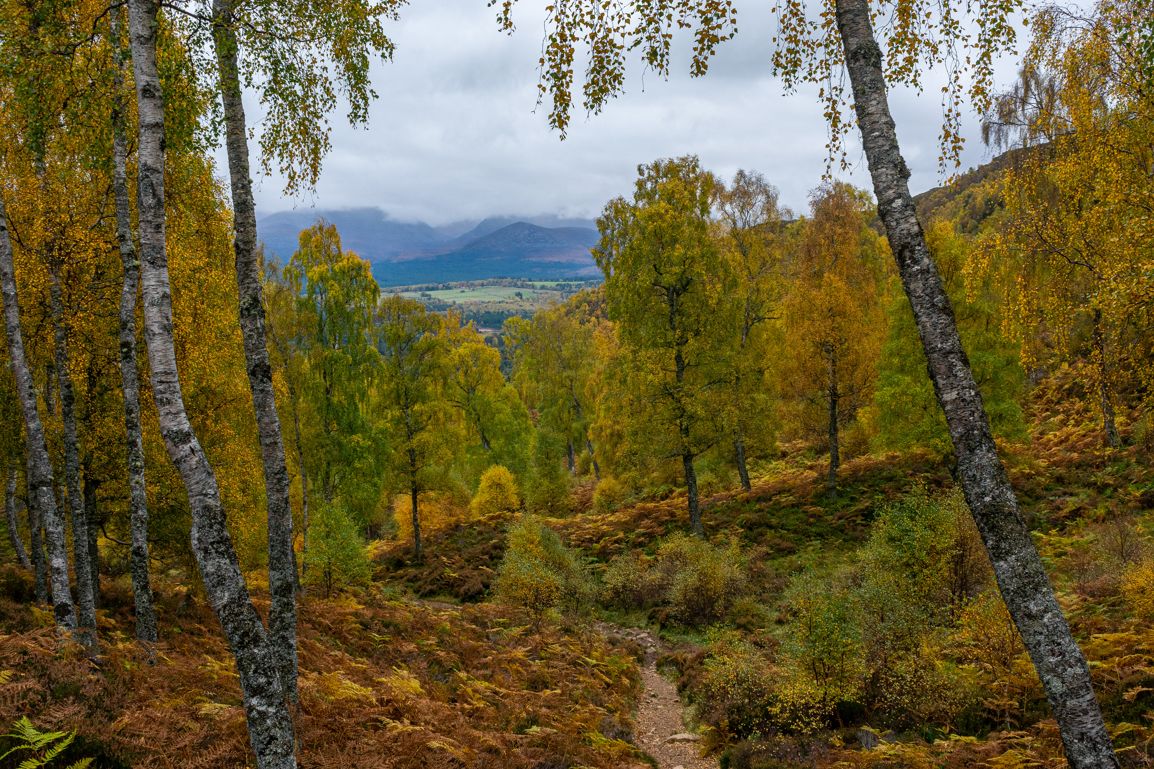 Photography Theory: Large Depth of Field