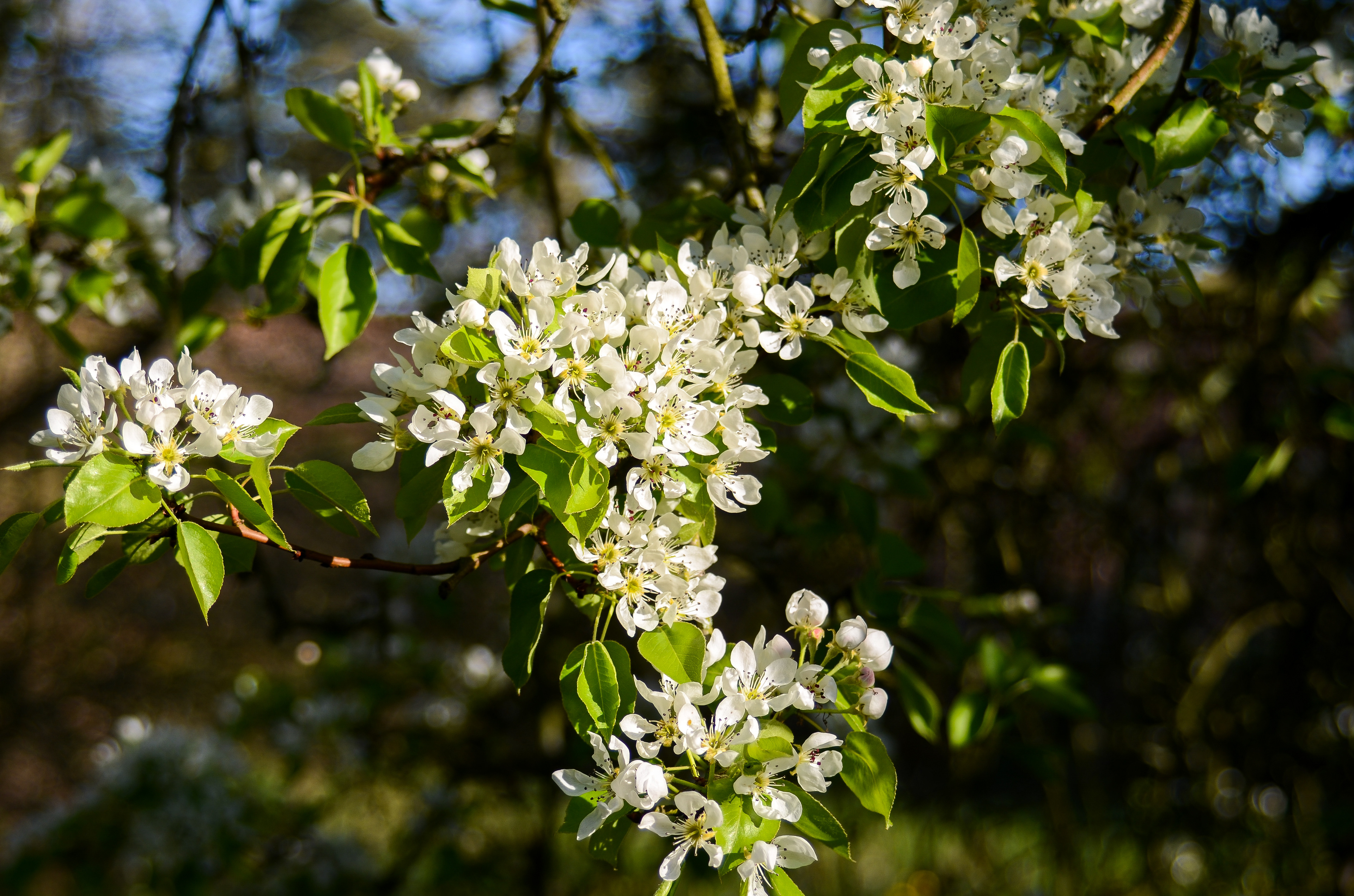 April: Views on my daily exercise