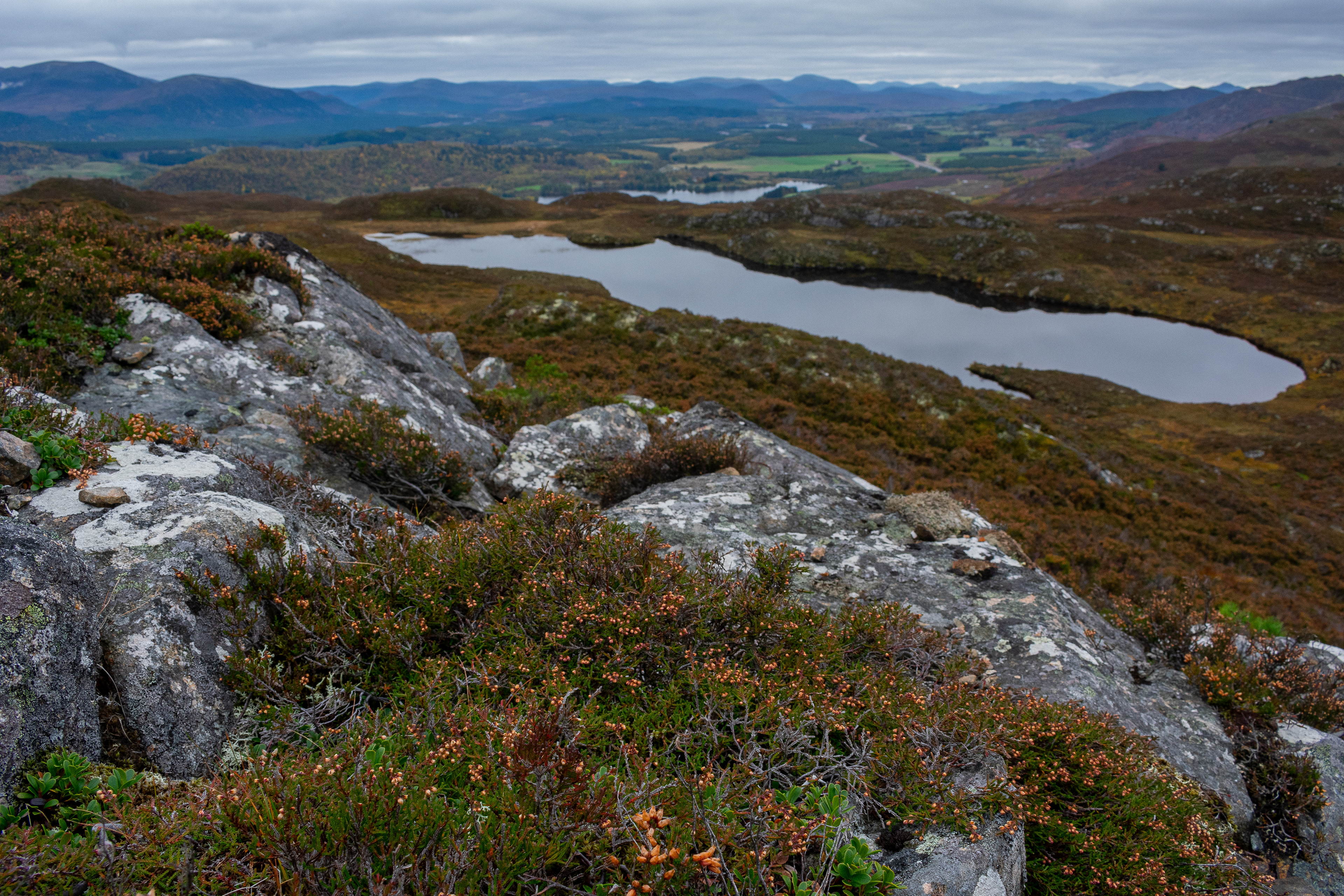 October: Aviemore