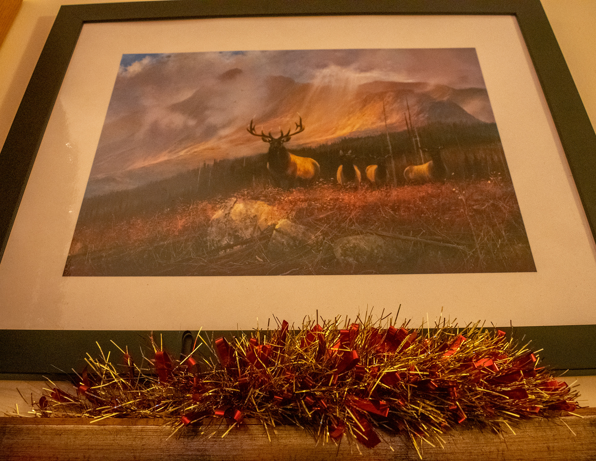 December: My First Cupar Christmas
