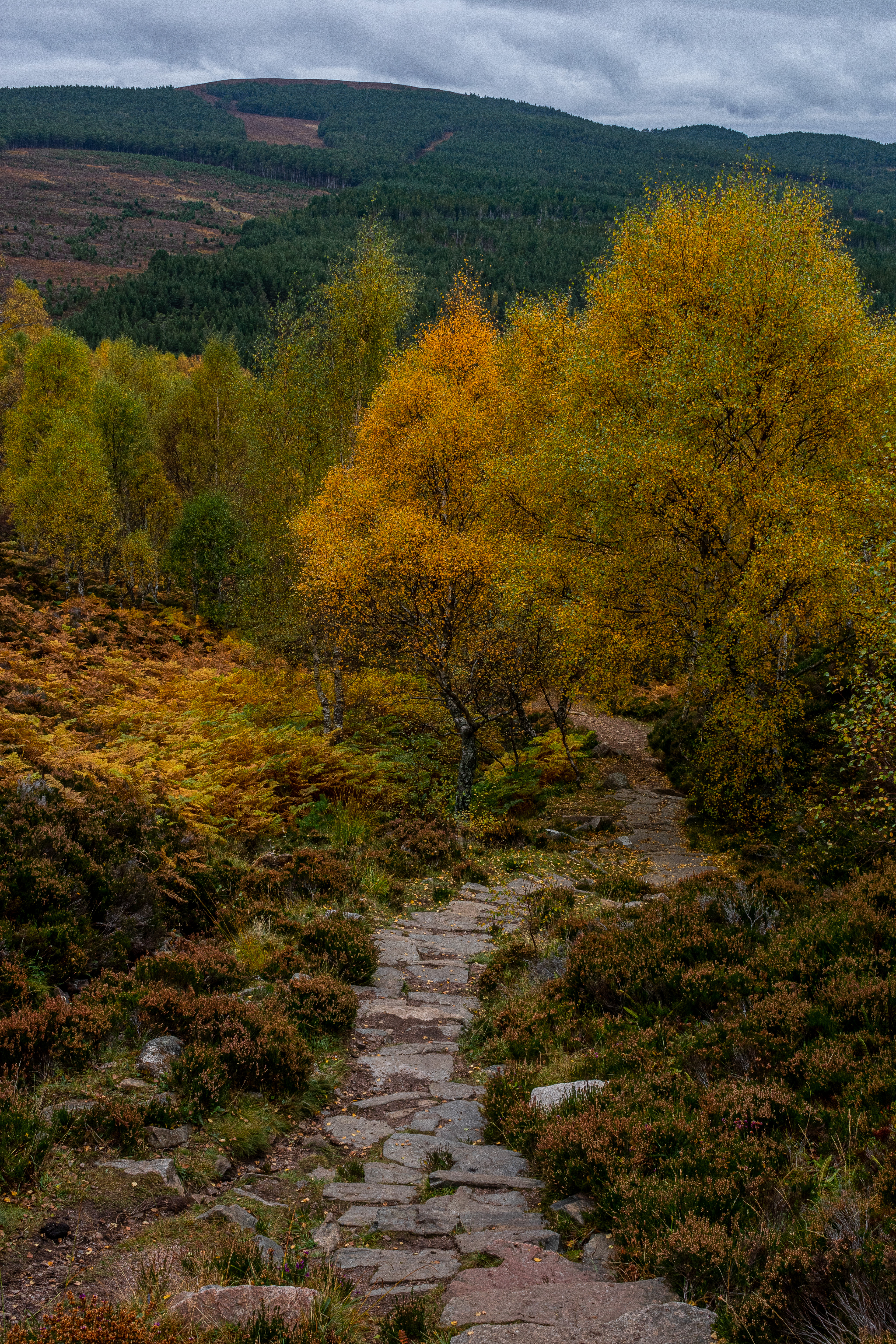 October: Aviemore