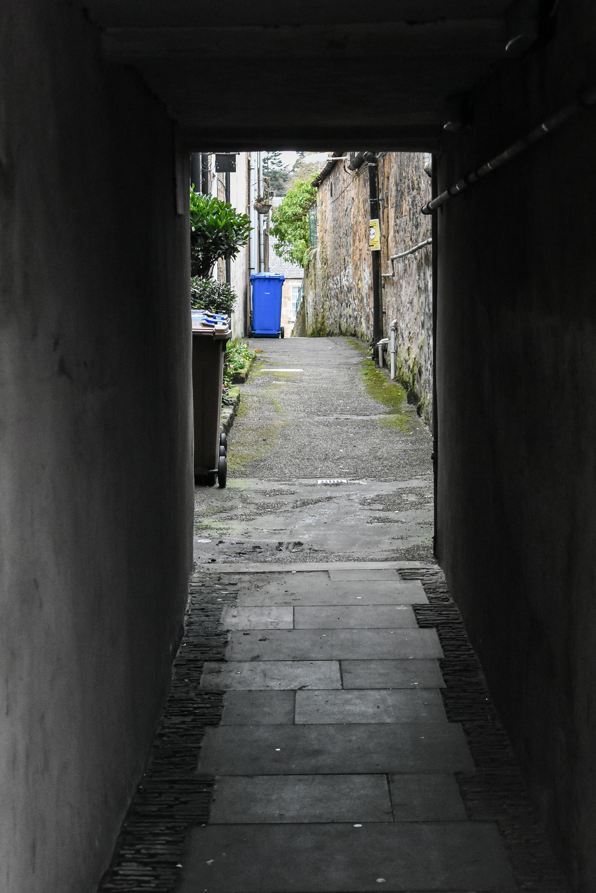 February: Discovering Cupar