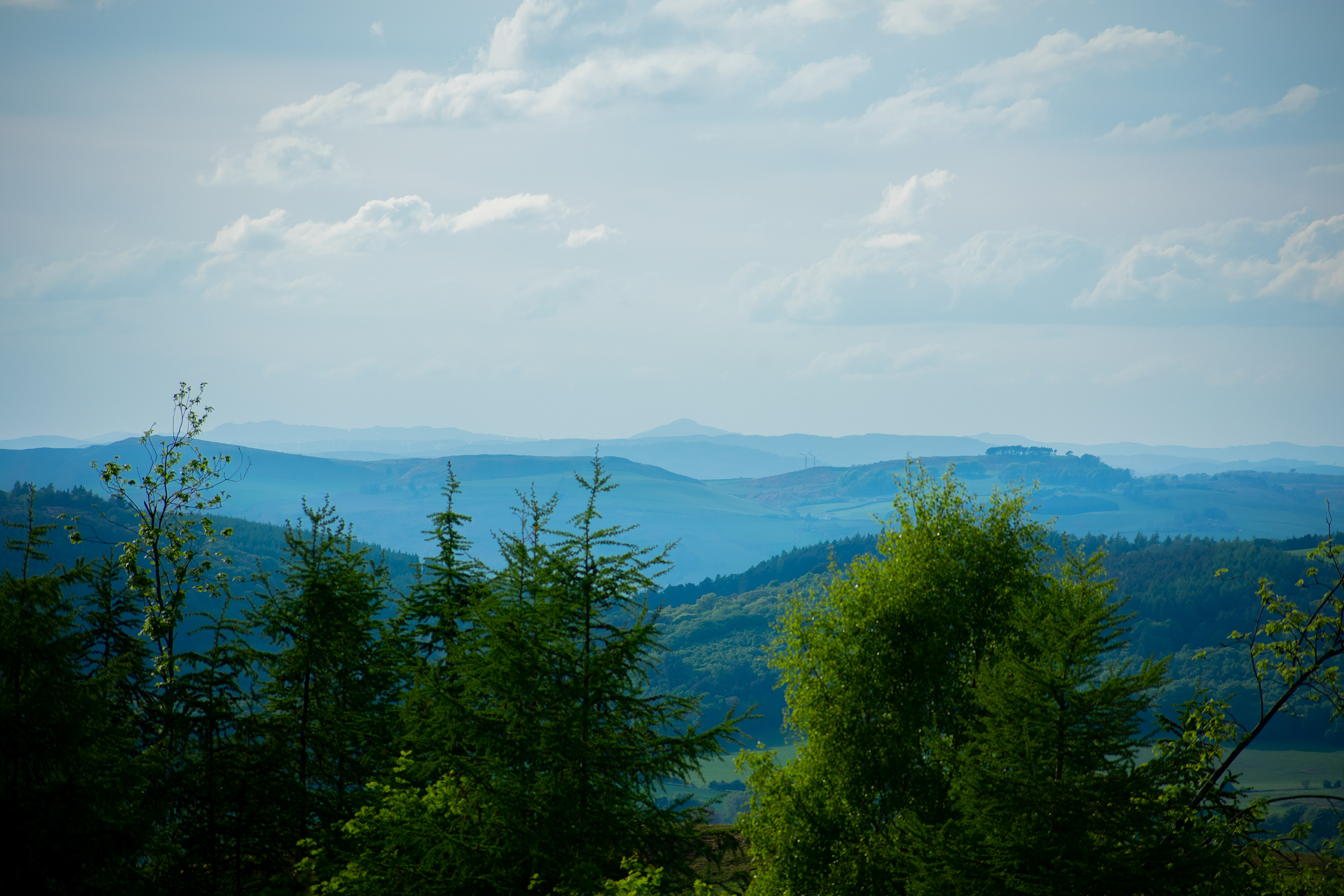 May: Views on my daily exercise
