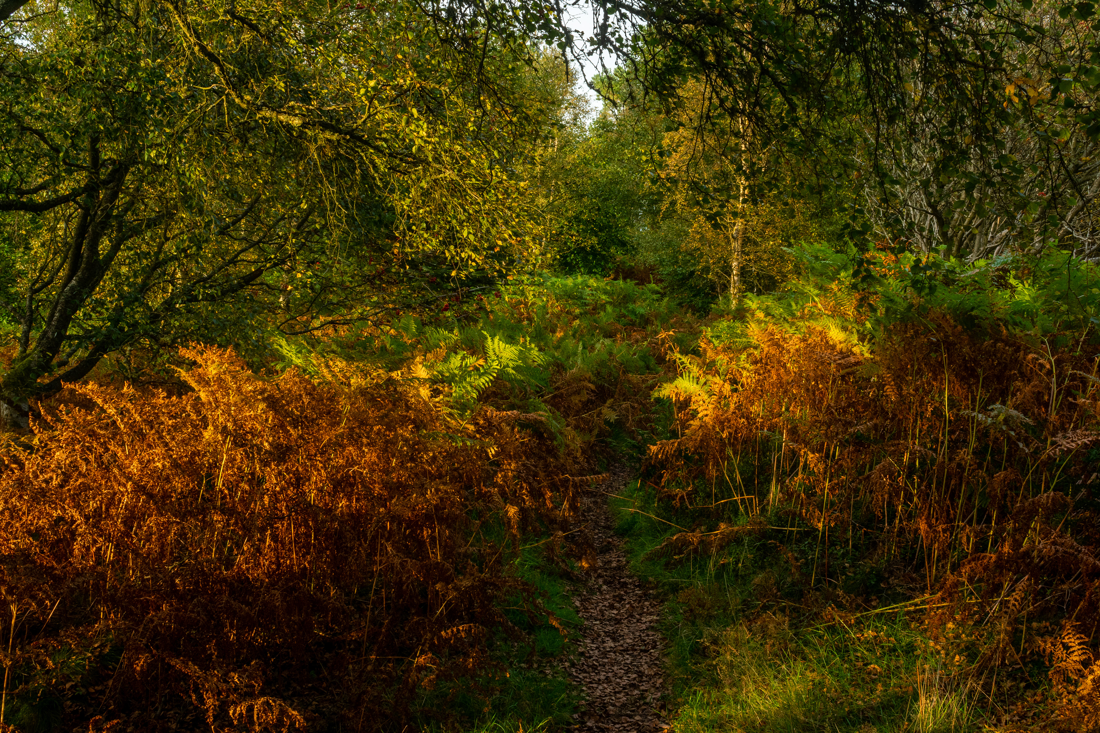 September: Lucklawhill