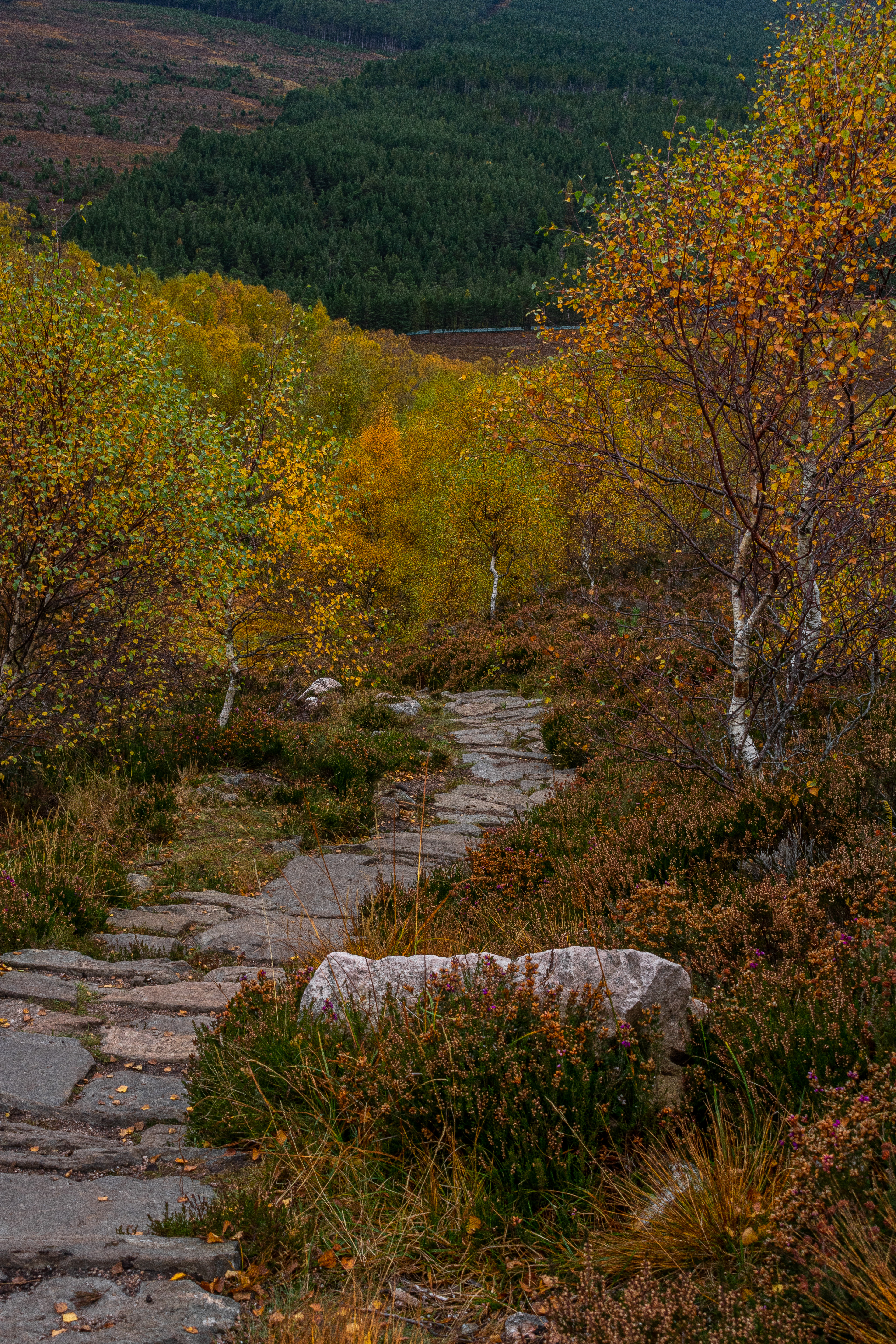 October: Aviemore