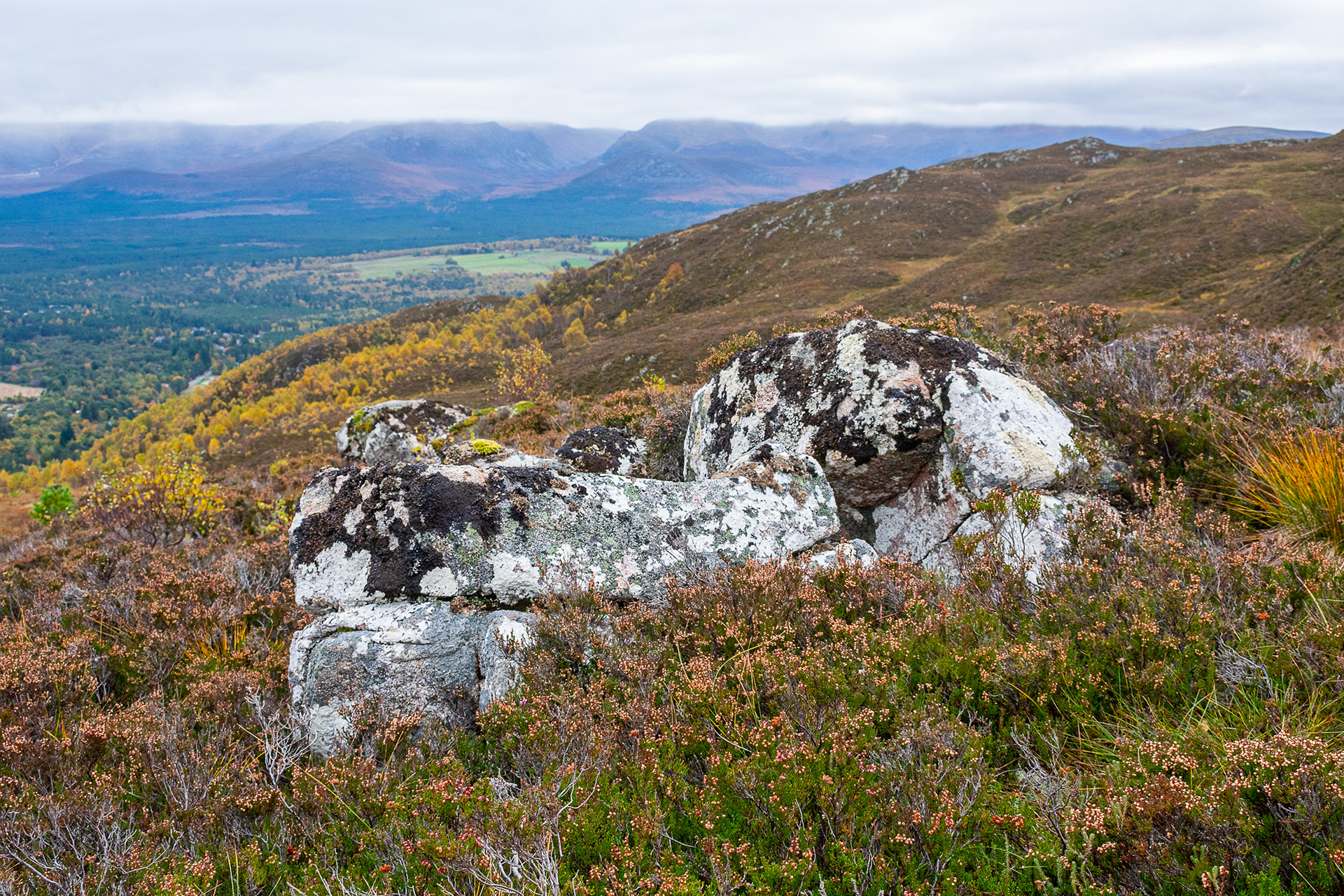 Image Editing: Selective Sharpening