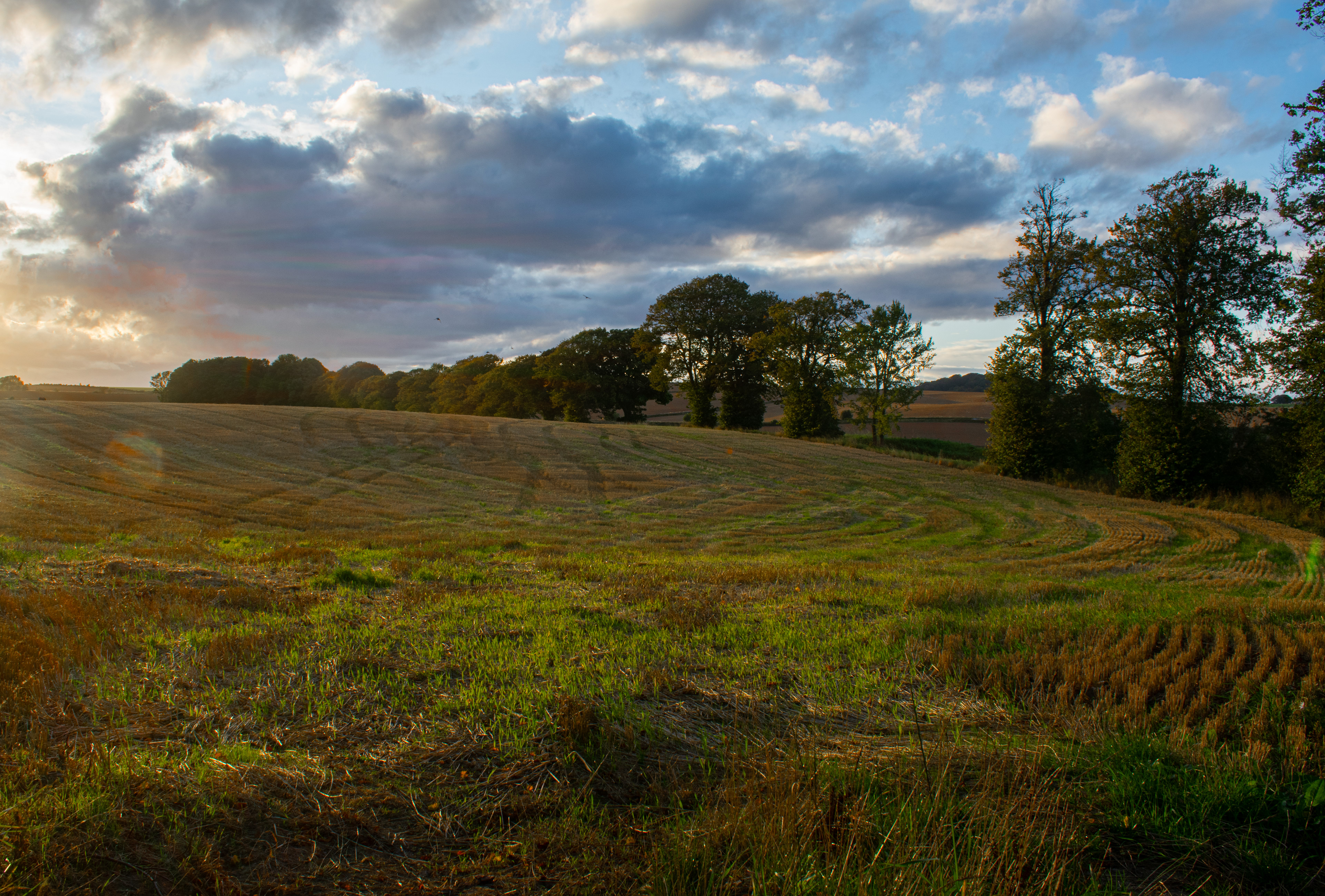 September: Views on the walk from Cupar to Dura Den