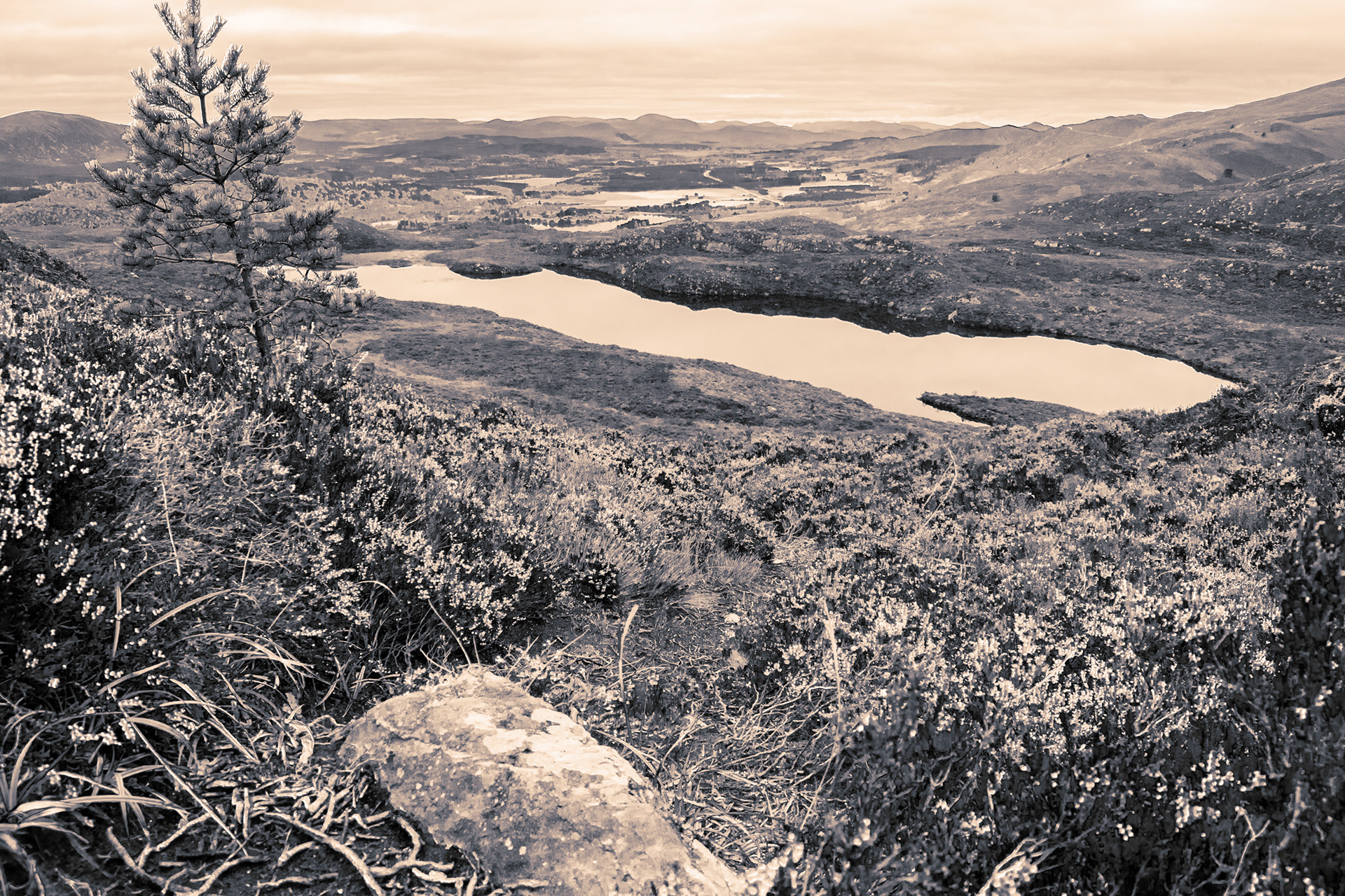 Image Editing: Split Toning