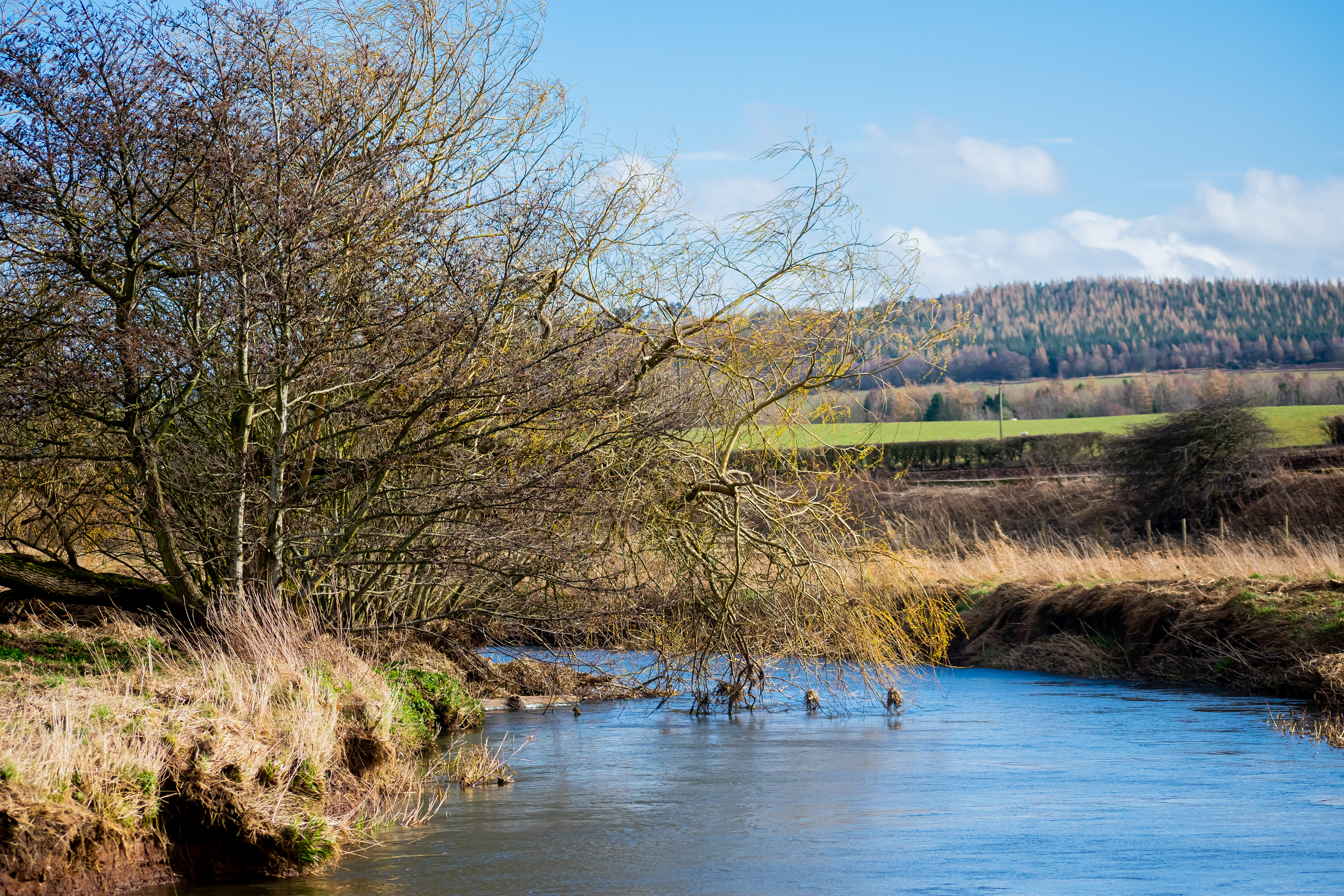 March: Discovering Cupar