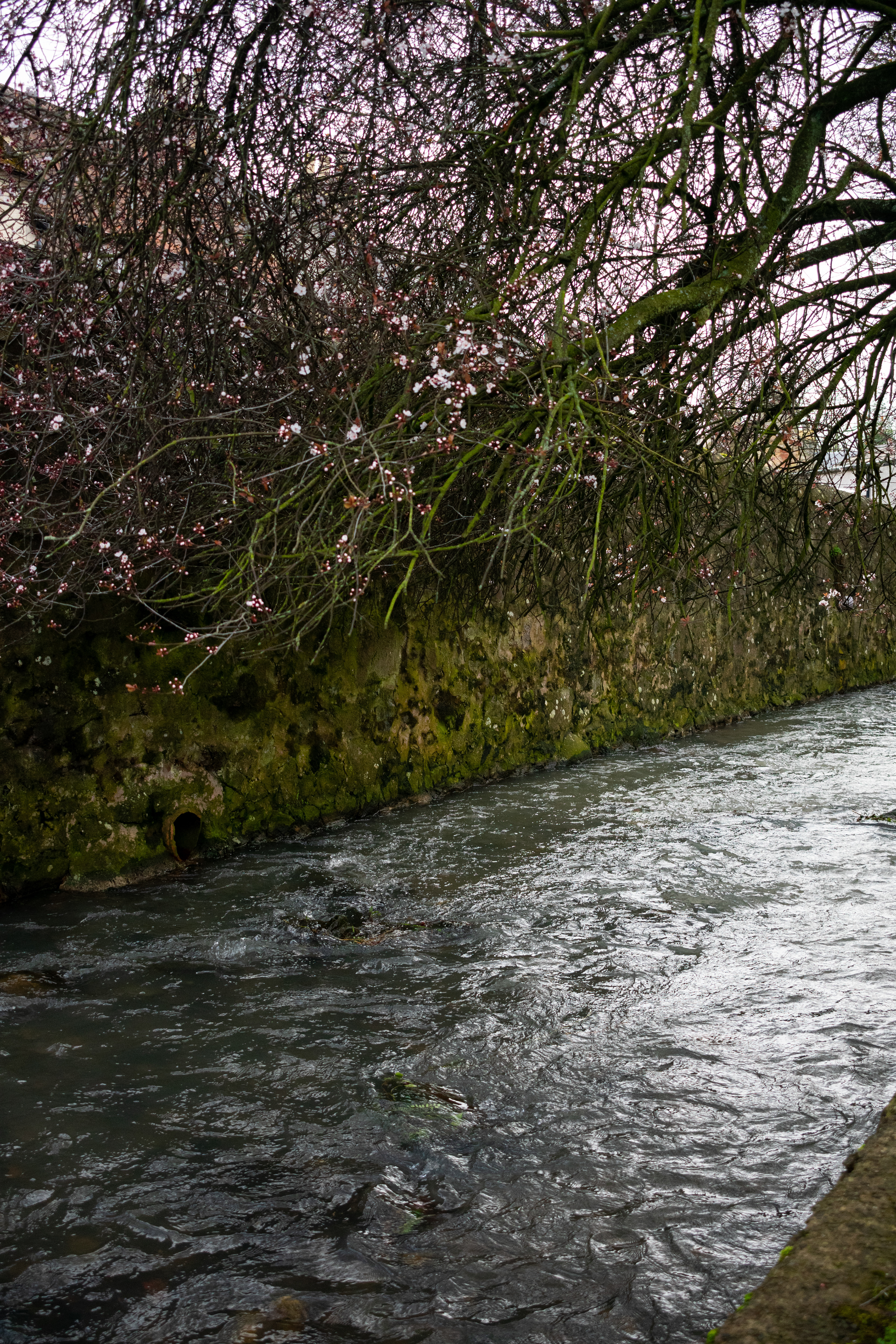 March: Discovering Cupar