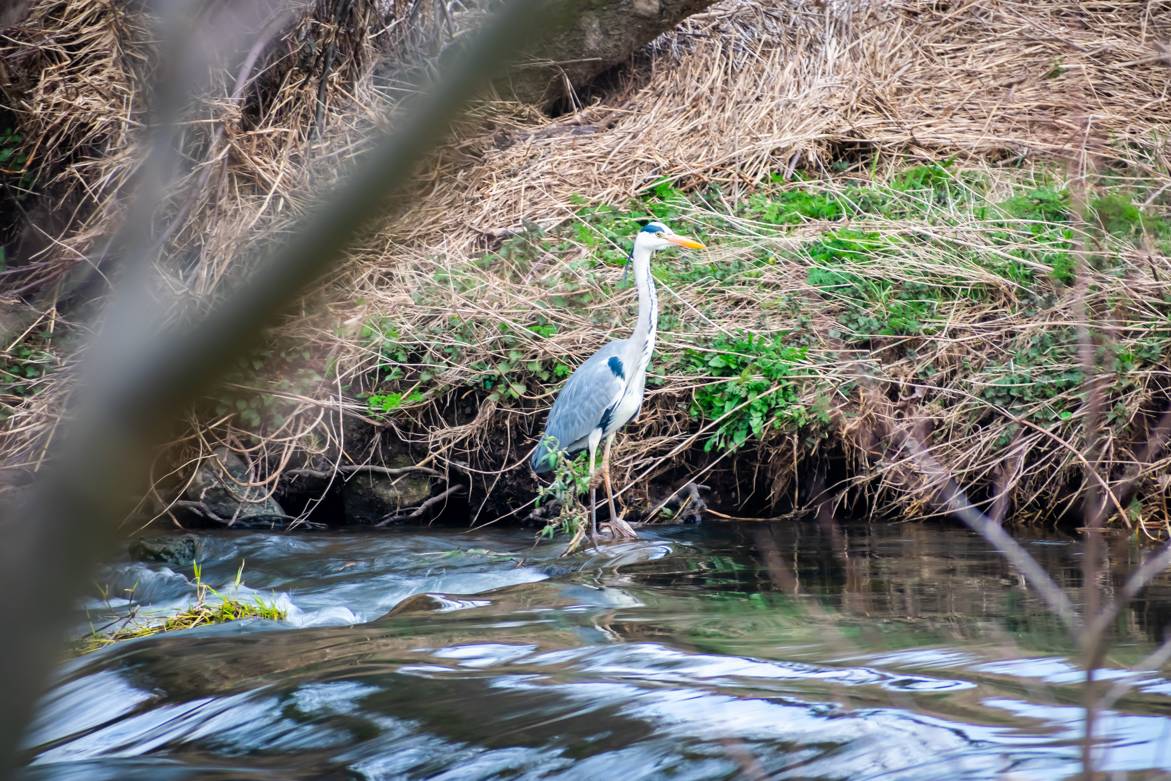 March: Discovering Cupar
