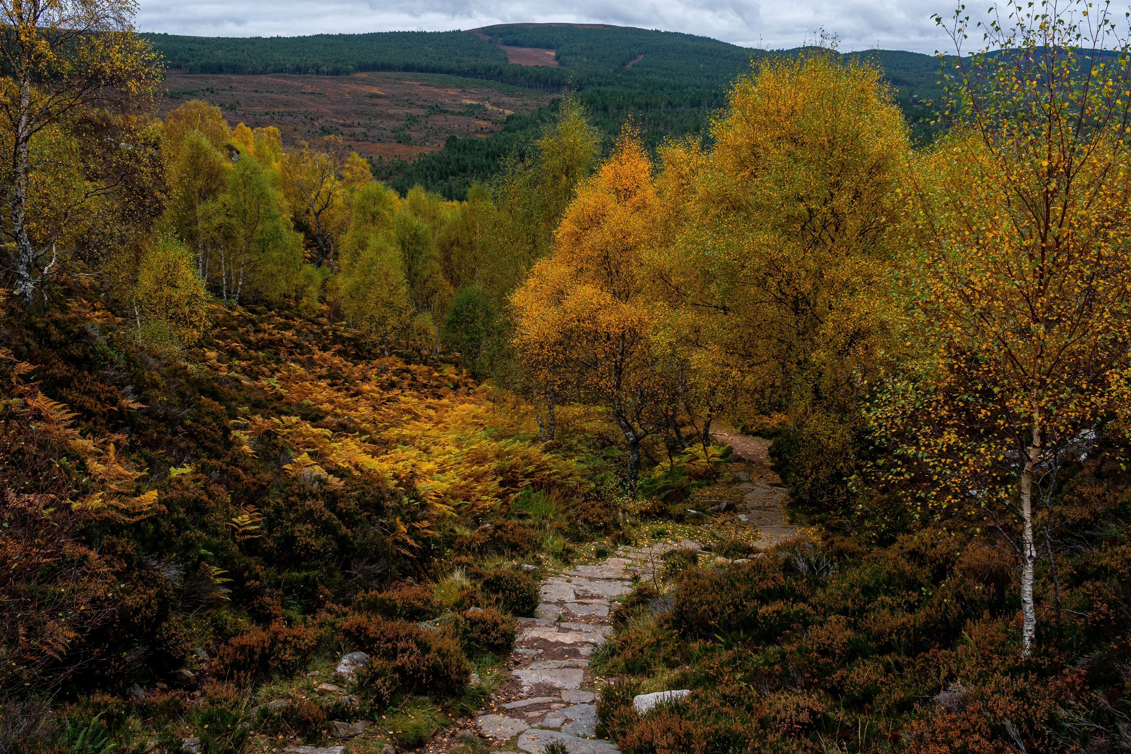 October: Aviemore
