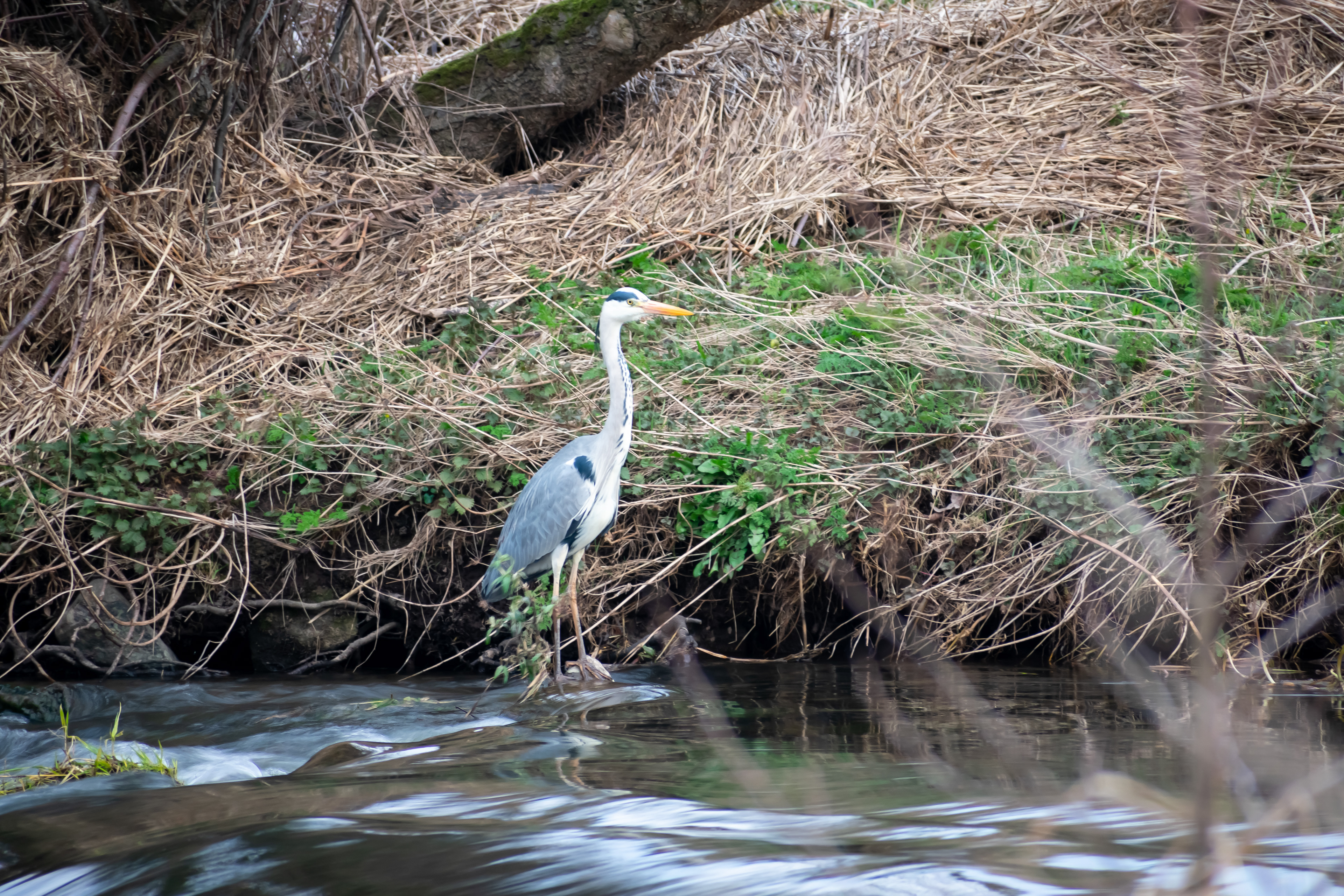 March: Discovering Cupar