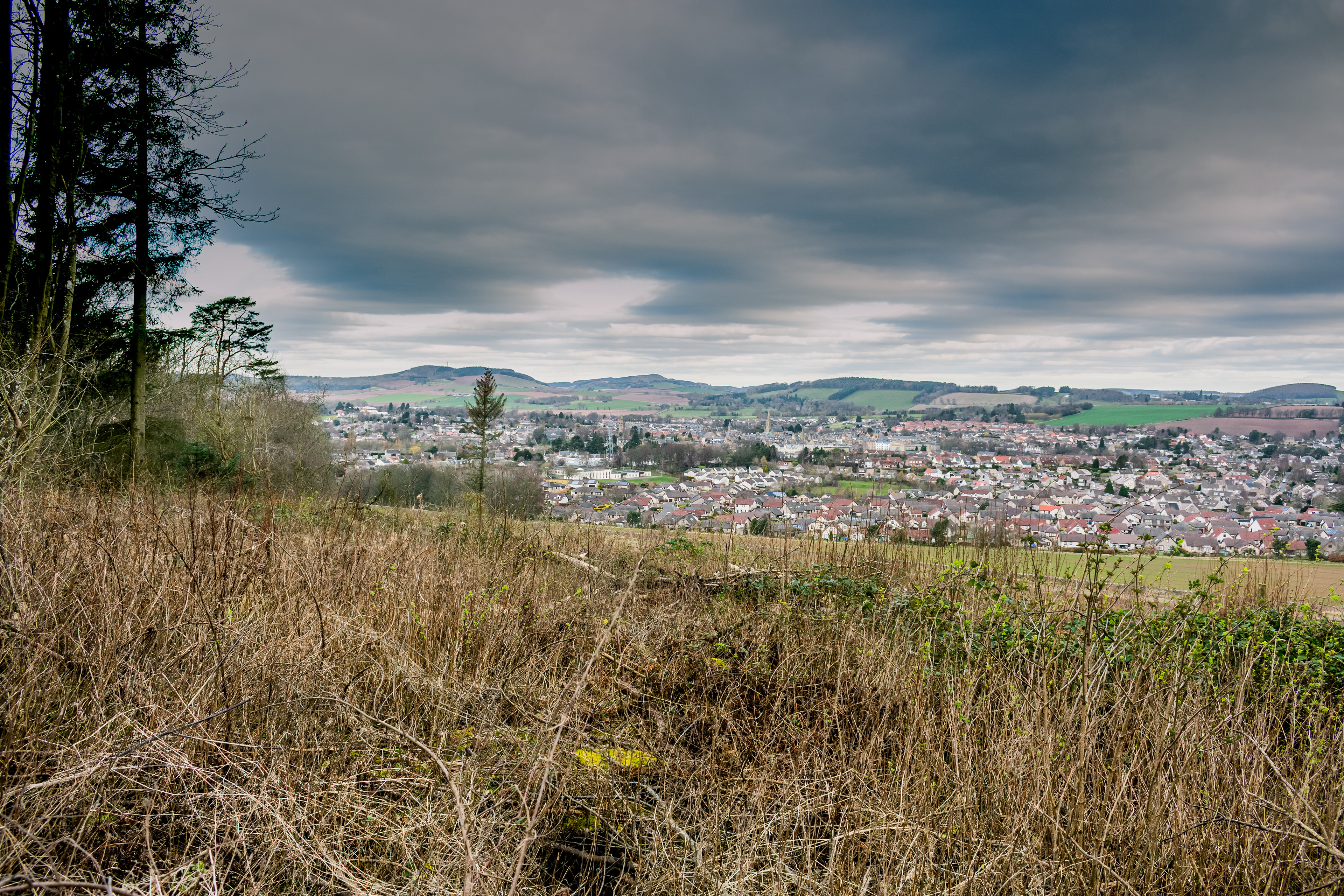 March: Discovering Cupar