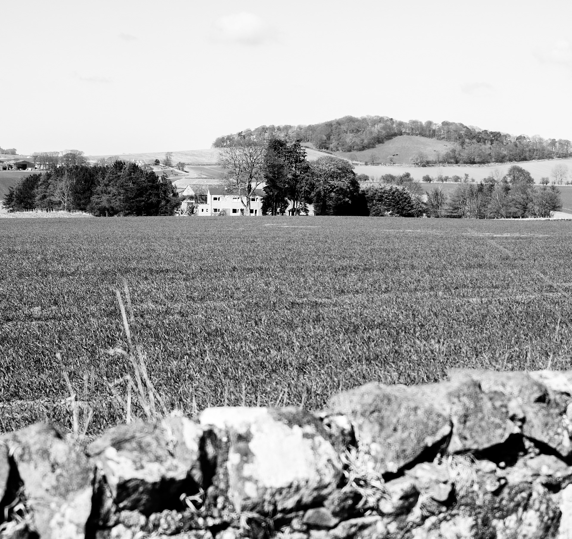 April: Views on my daily exercise