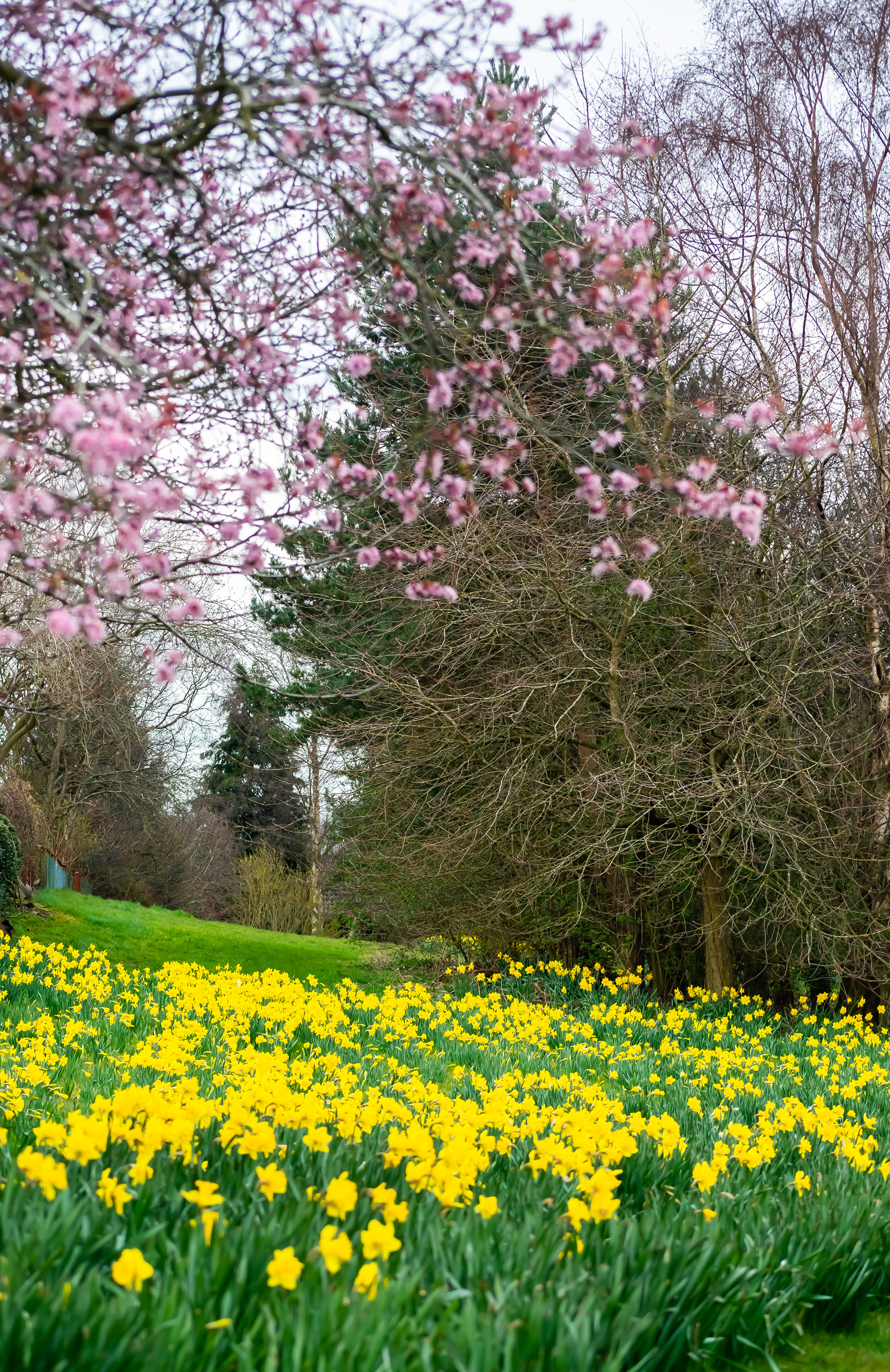 March: Discovering Cupar