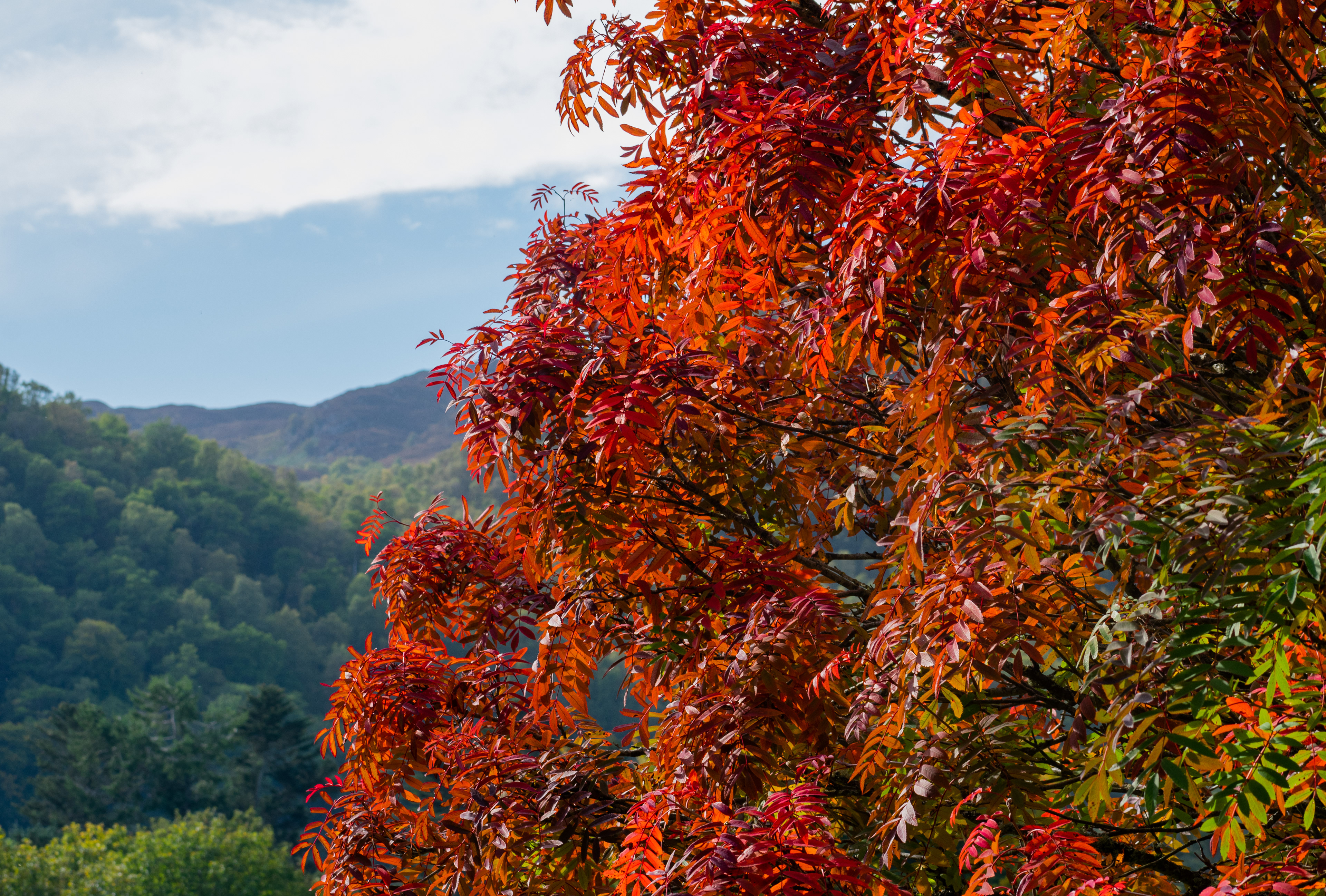 September: Pitlochry