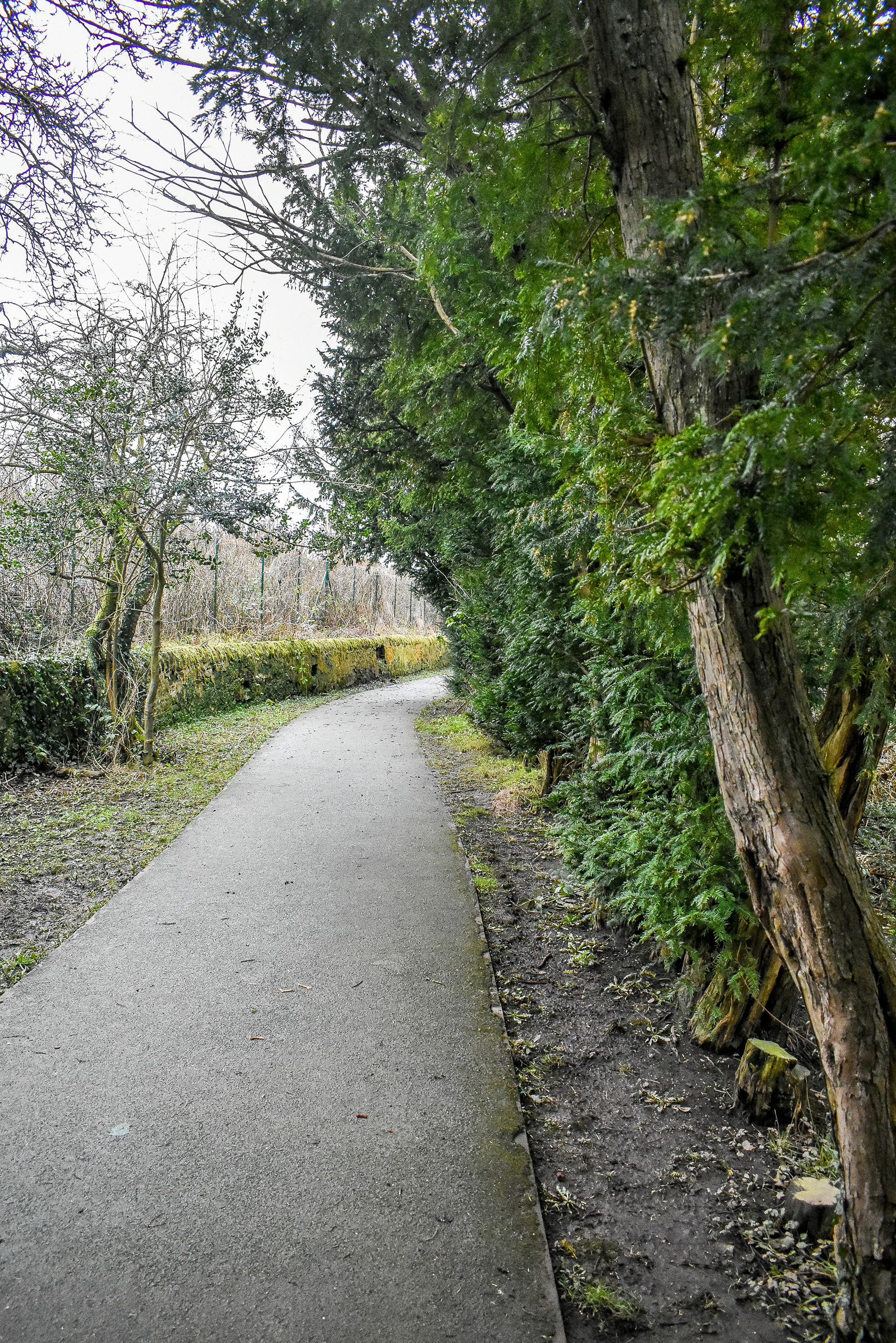 February: Discovering Cupar