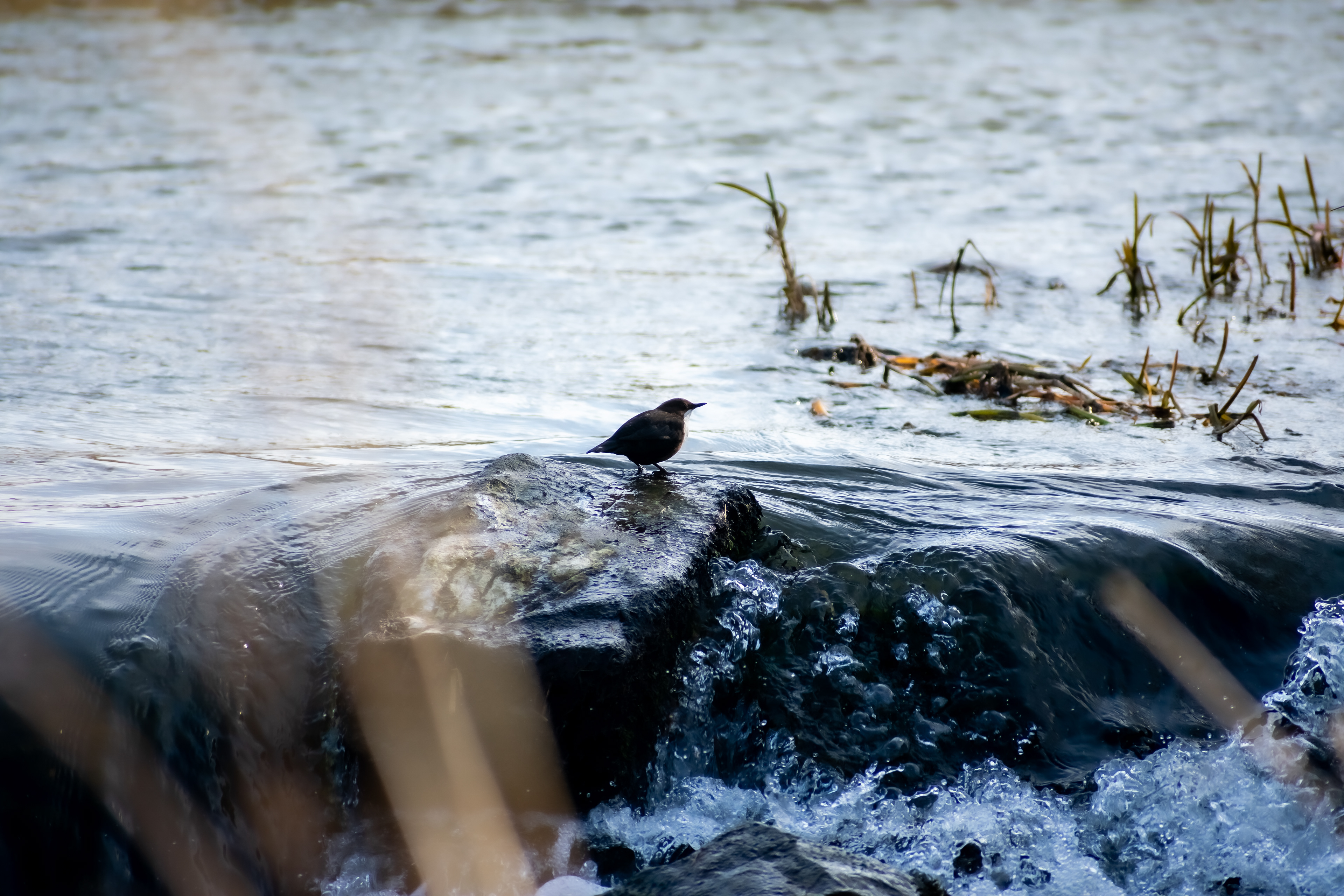 March: Discovering Cupar