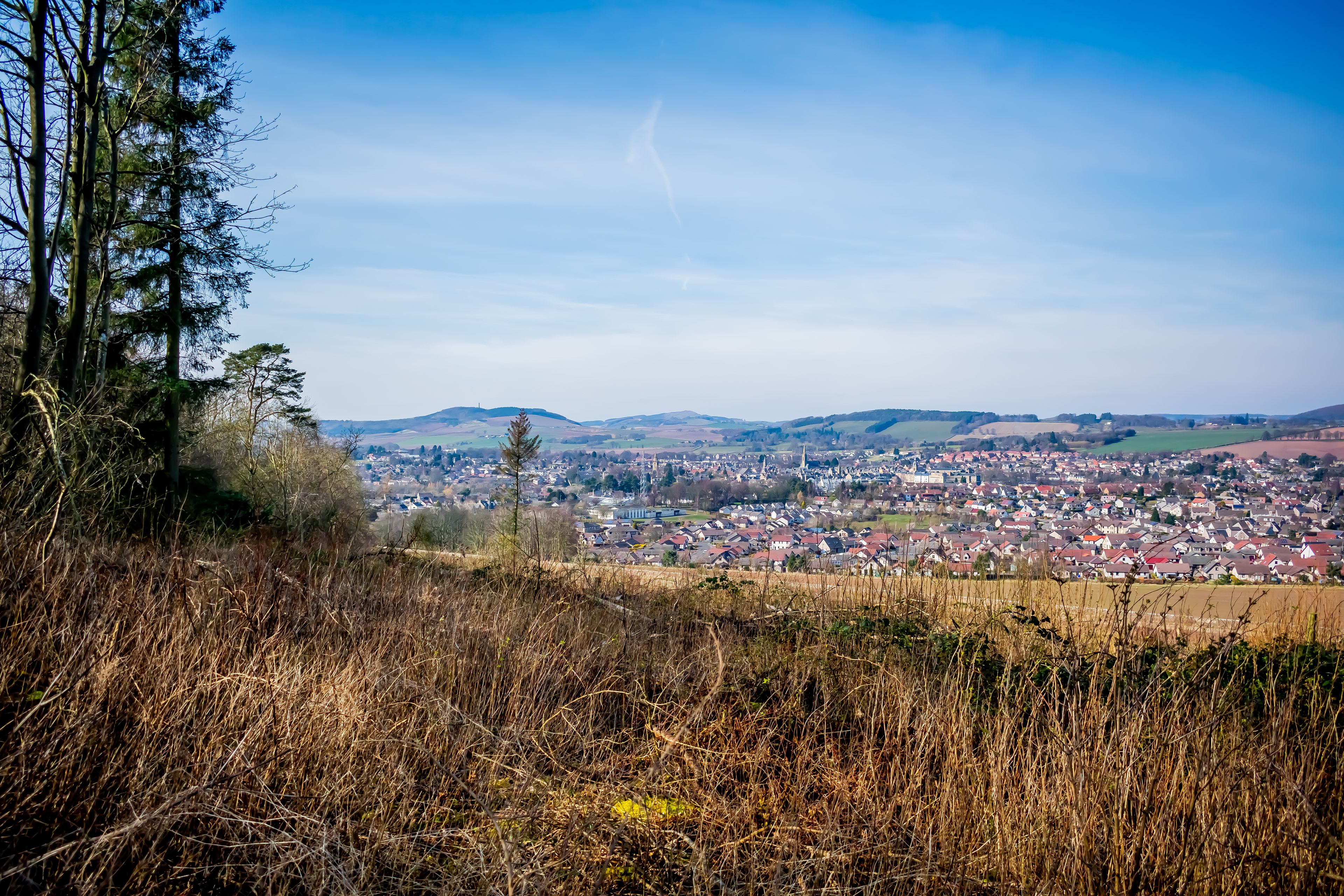 March: Discovering Cupar