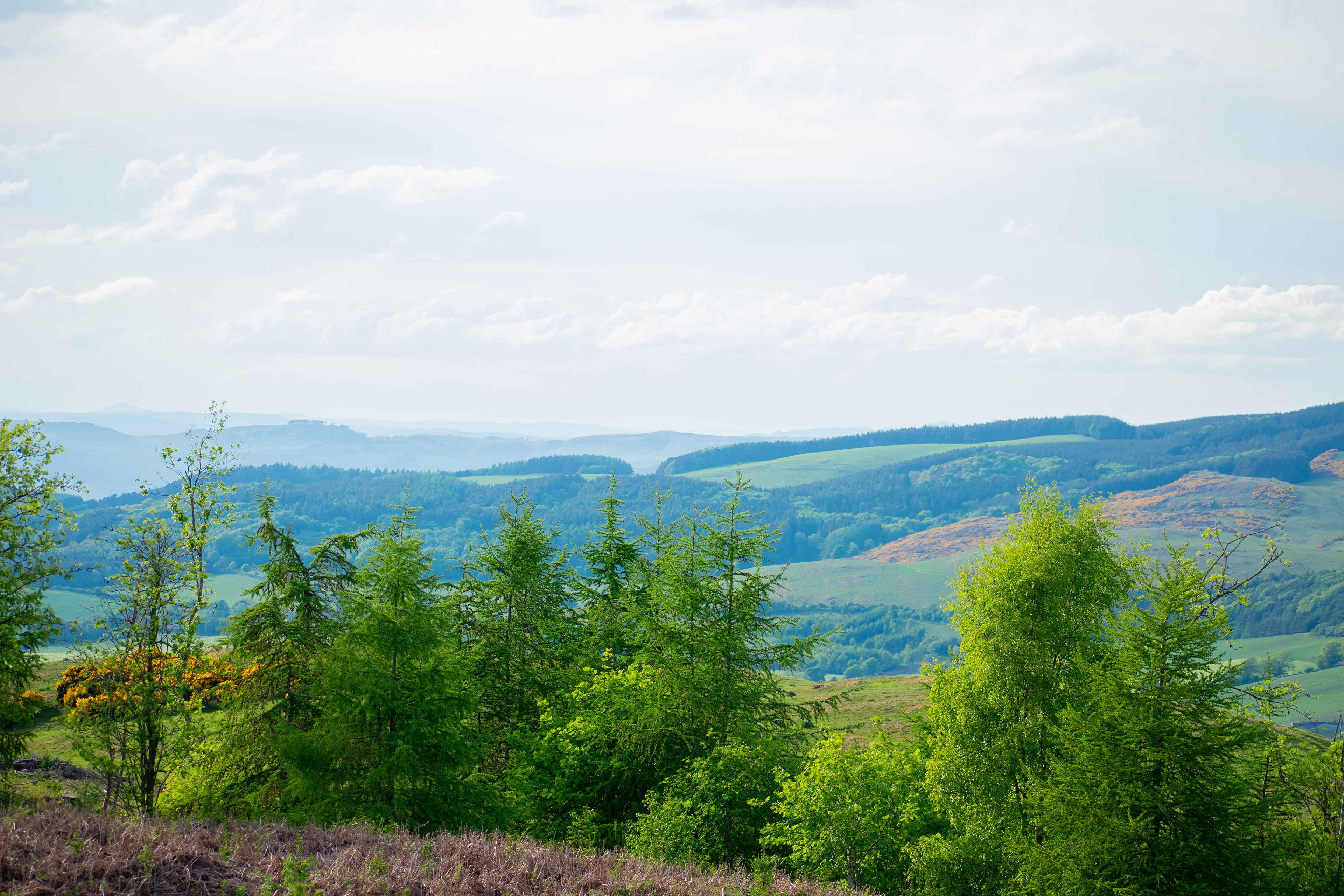 May: Views on my daily exercise