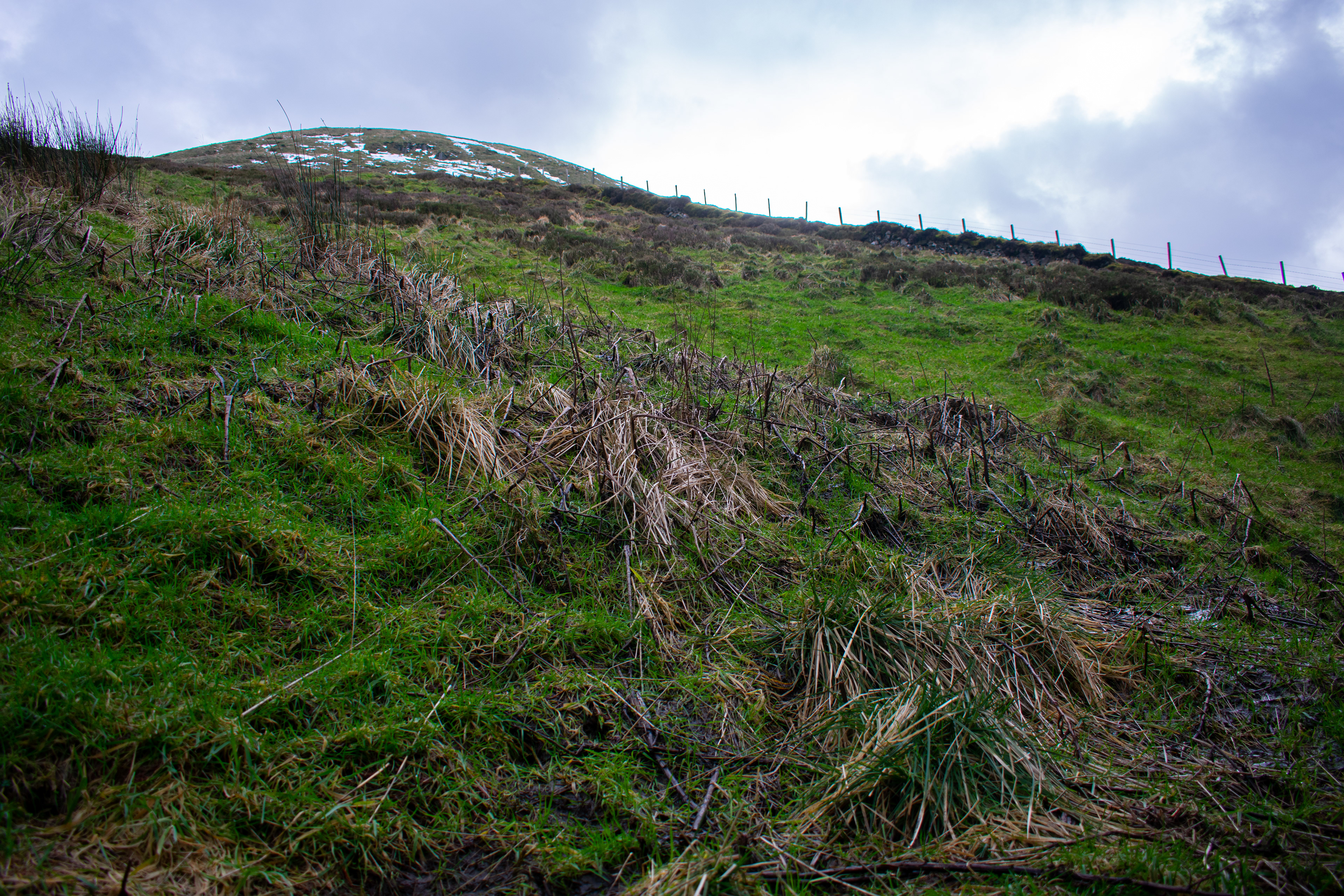 March: Discovering Fife
