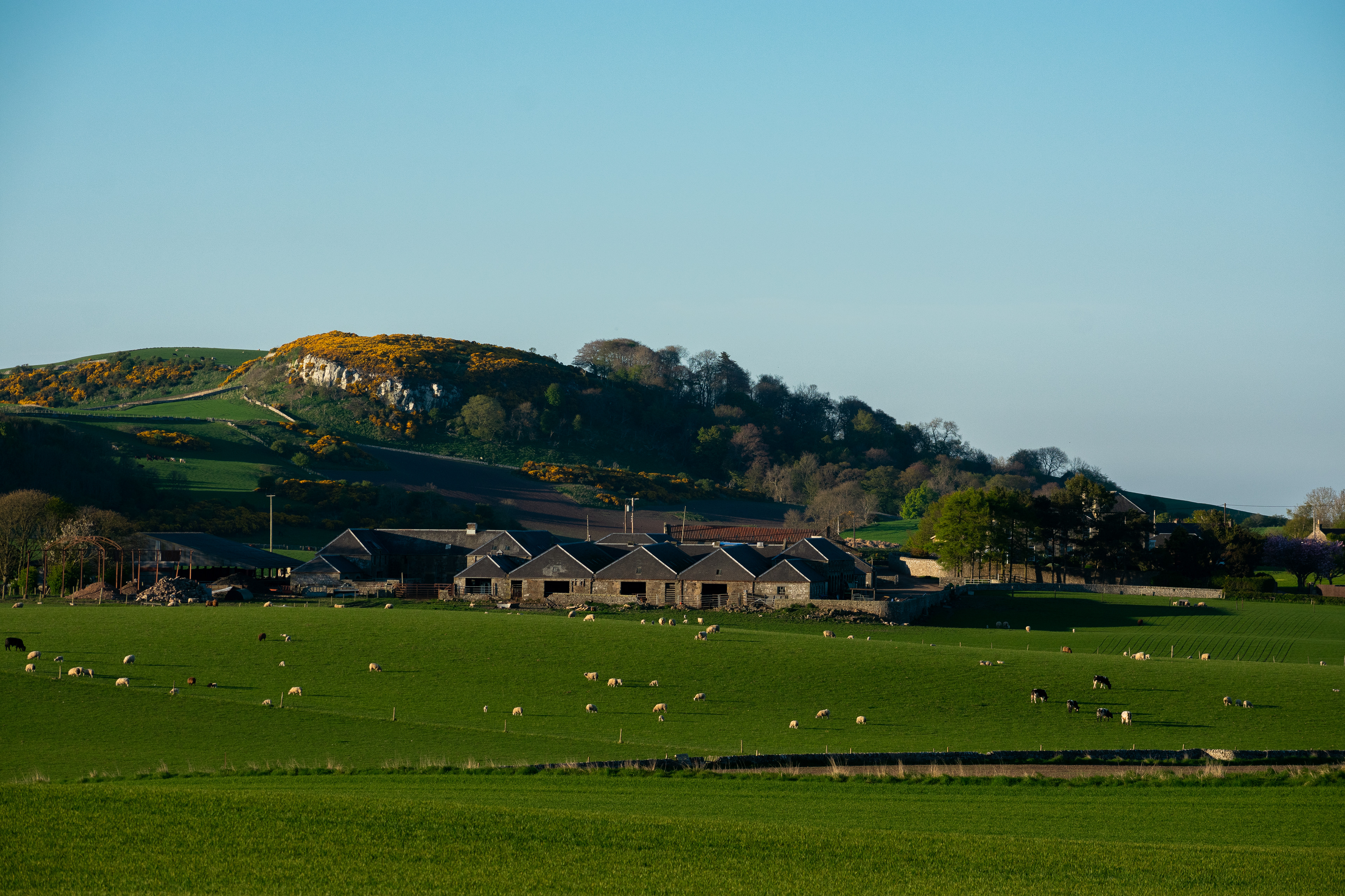 May: Views on my daily exercise