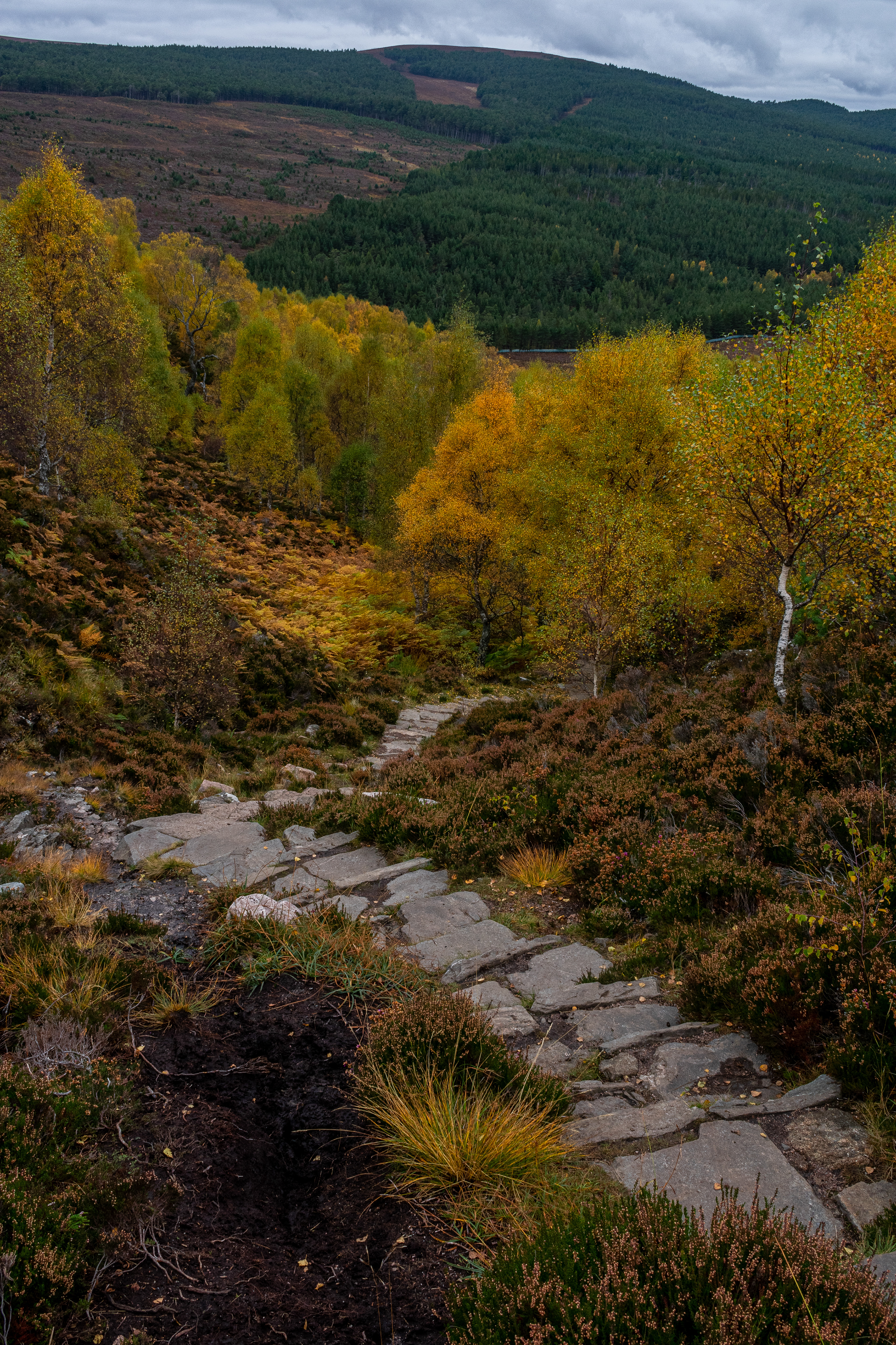 October: Aviemore