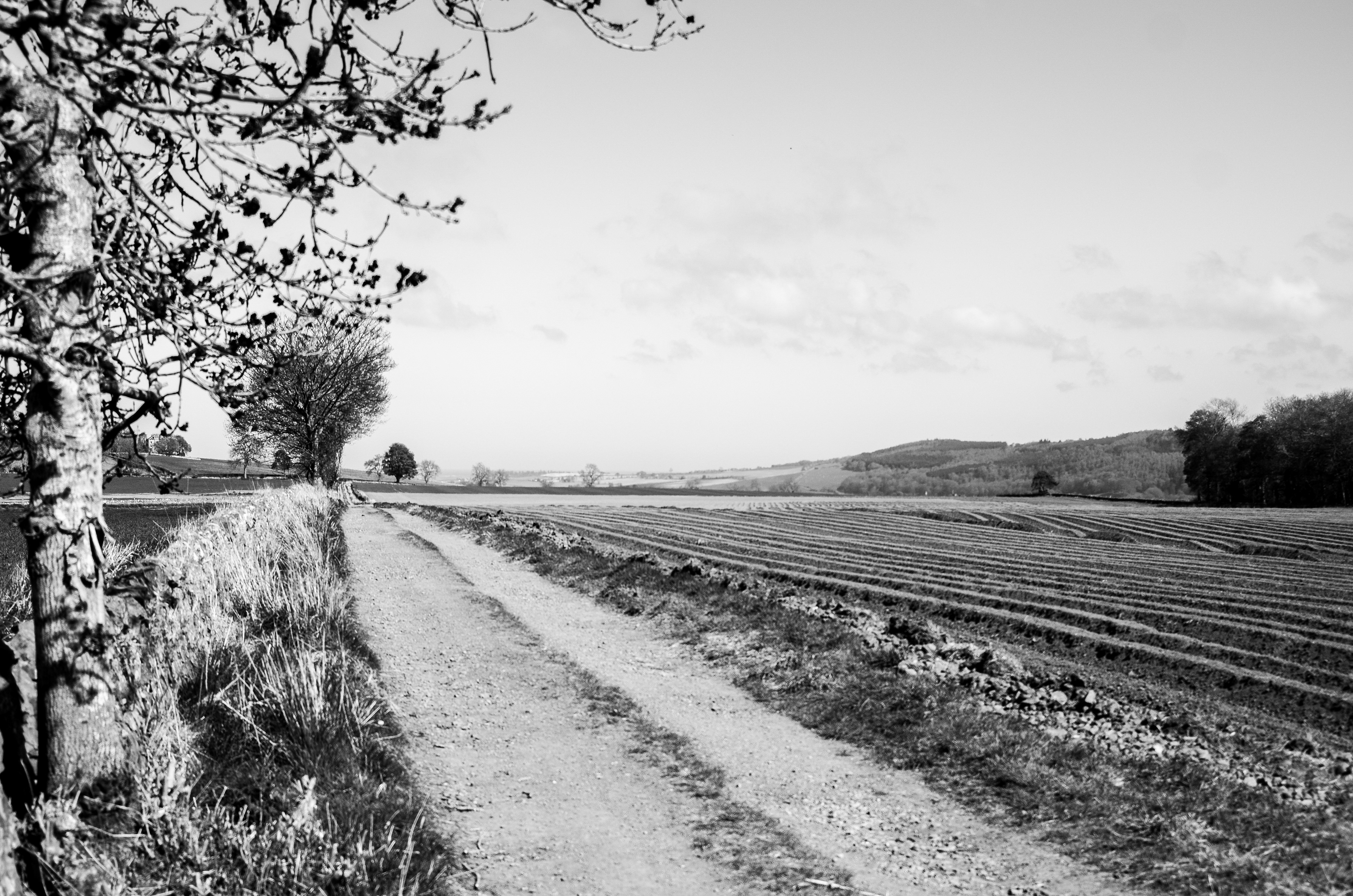 April: Views on my daily exercise
