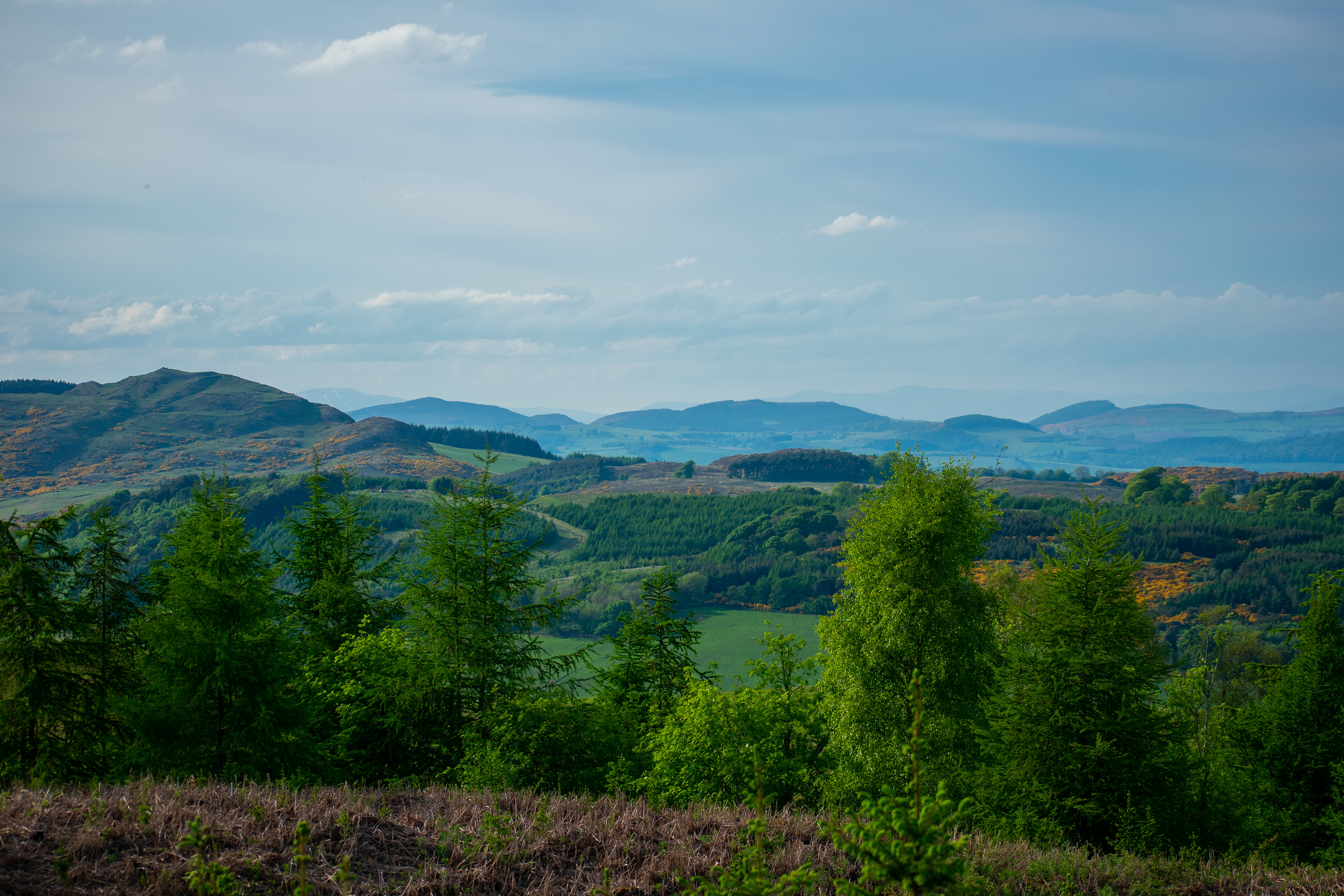May: Views on my daily exercise
