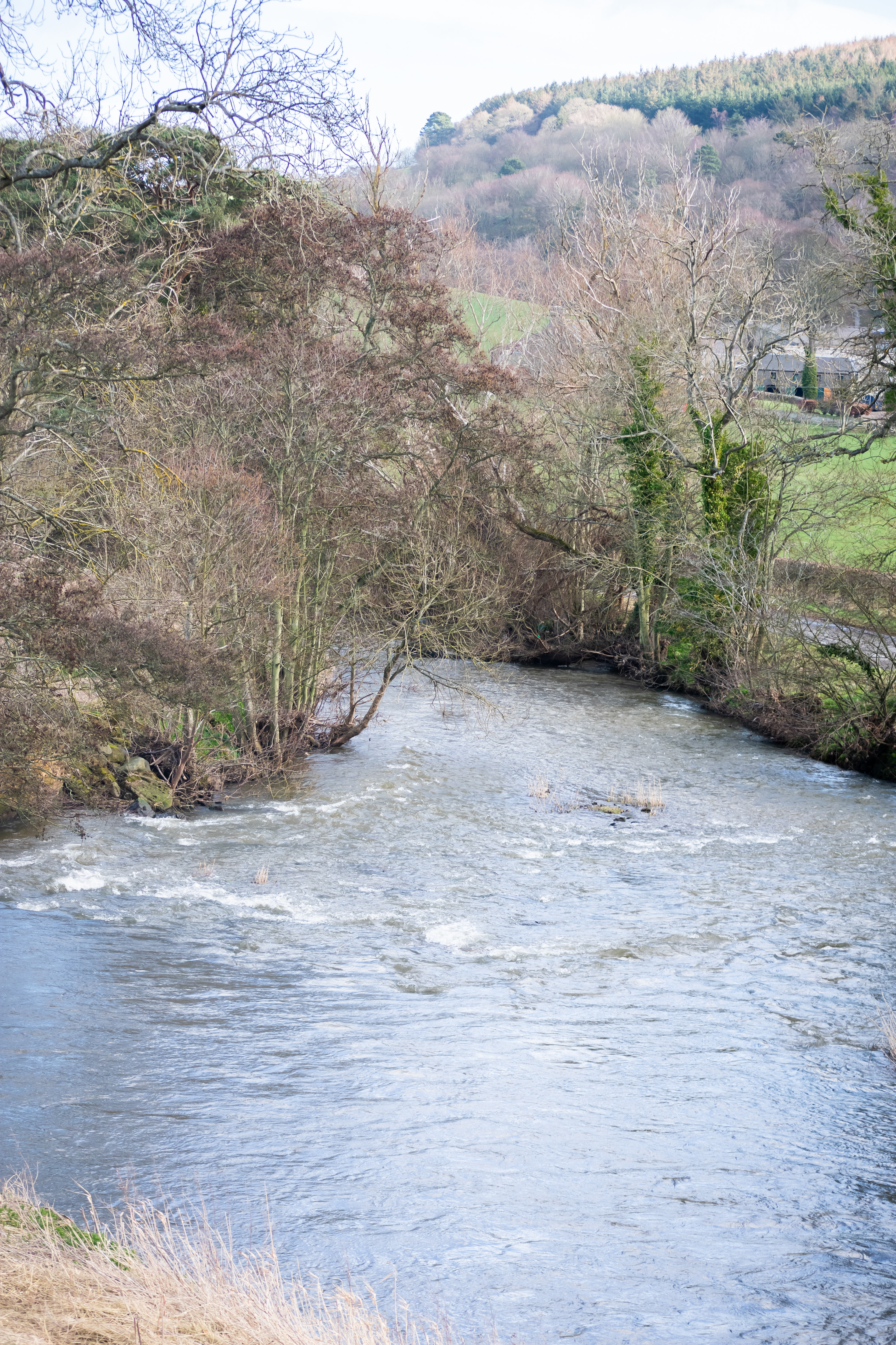 March: Discovering Cupar