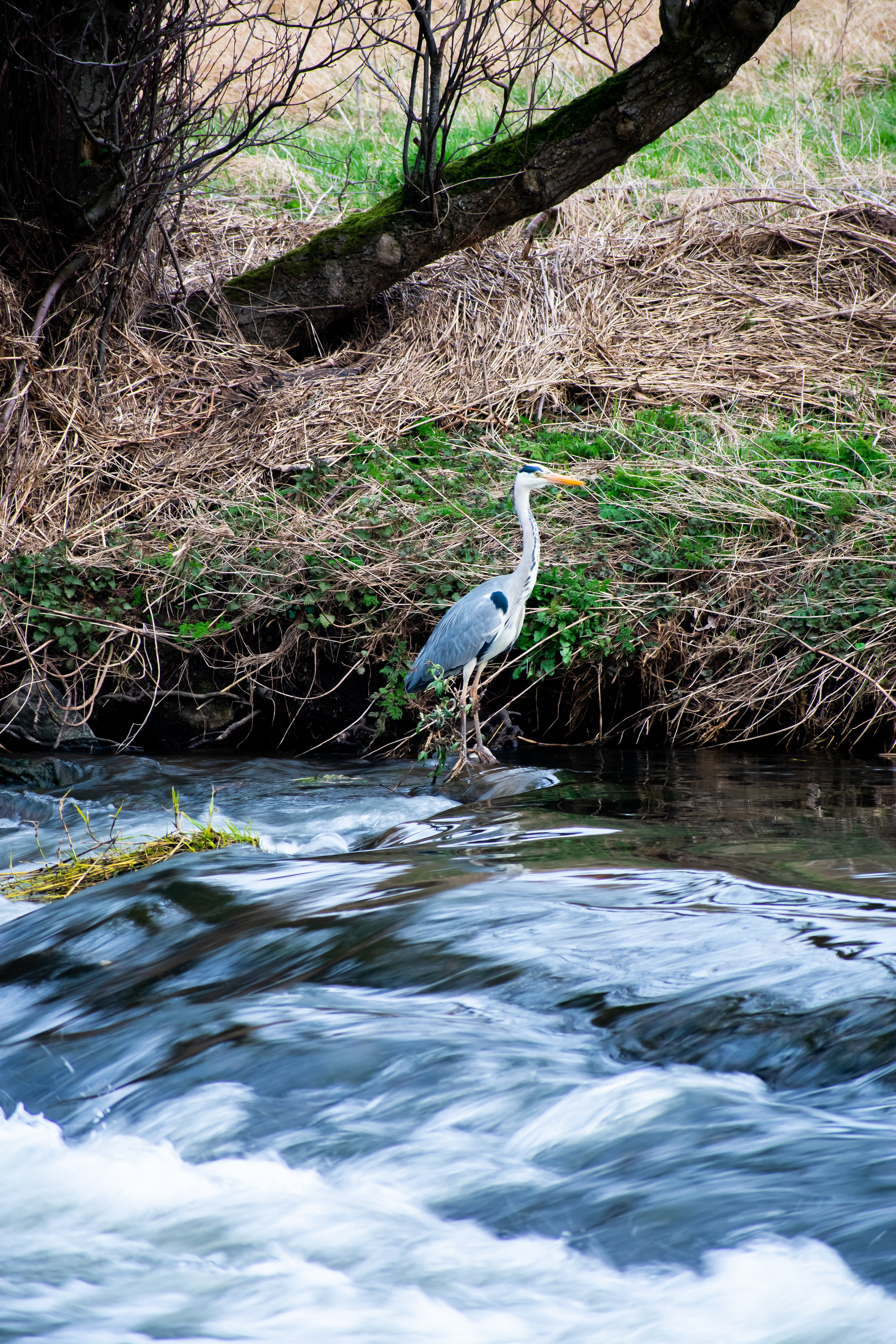 March: Discovering Cupar