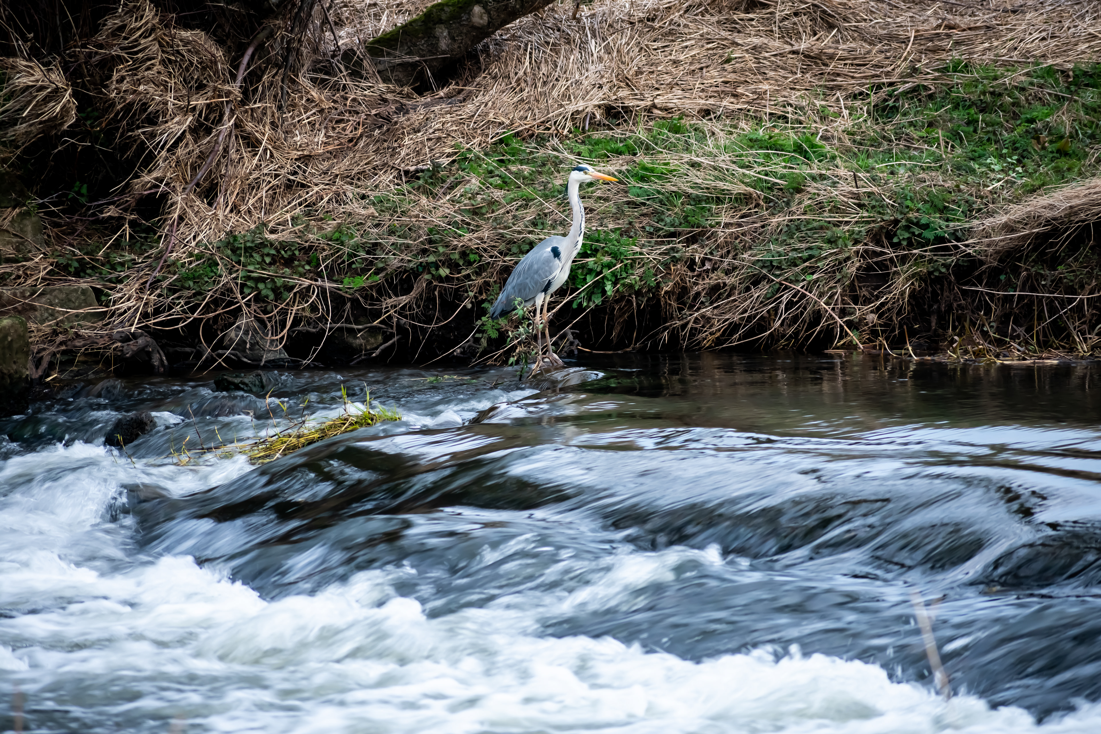 March: Discovering Cupar