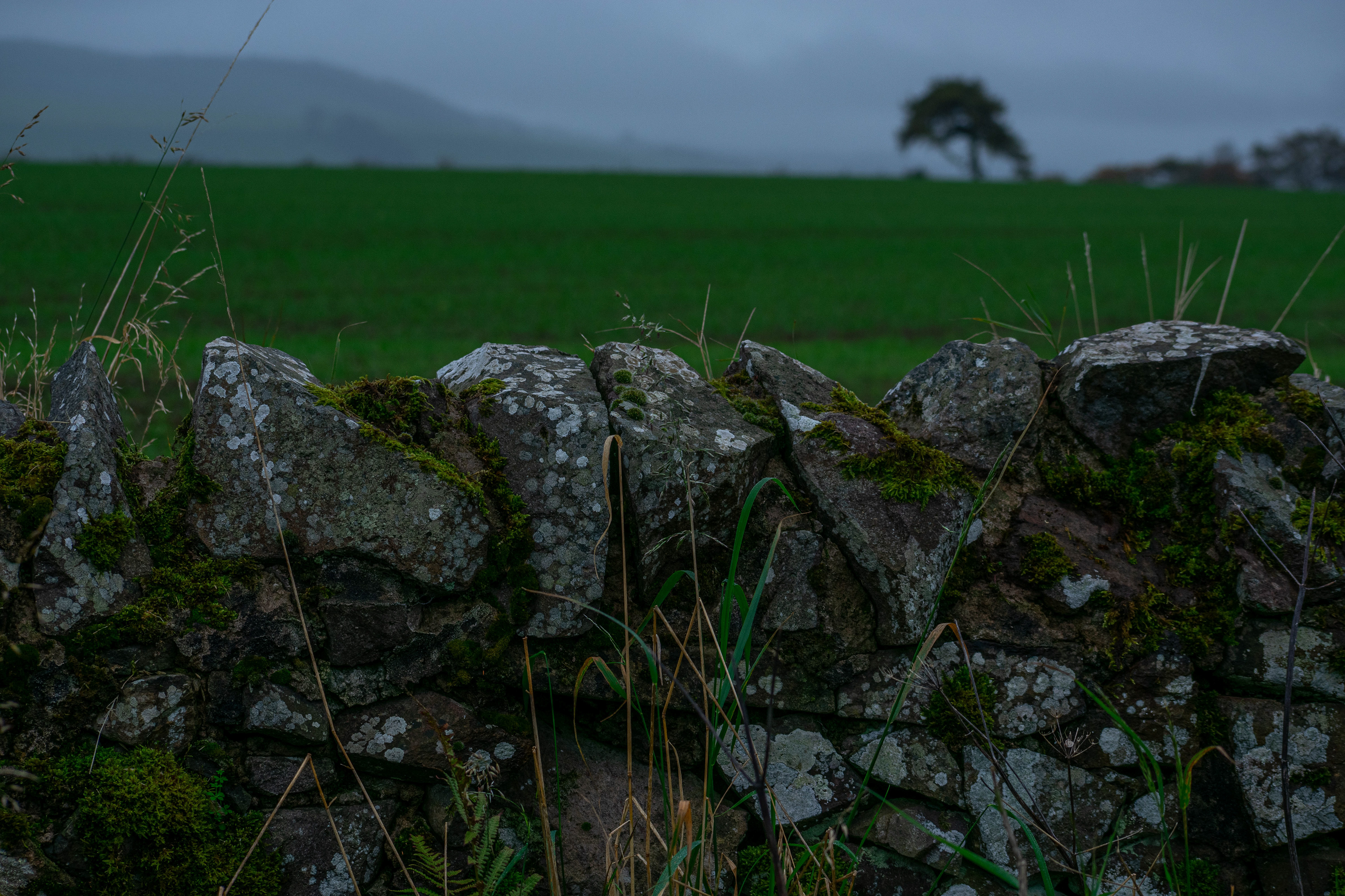 October: Cupar in the mist