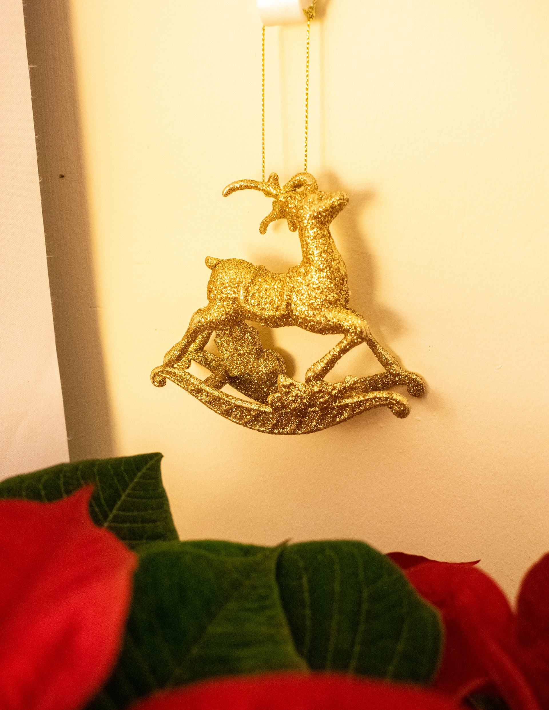 December: My First Cupar Christmas